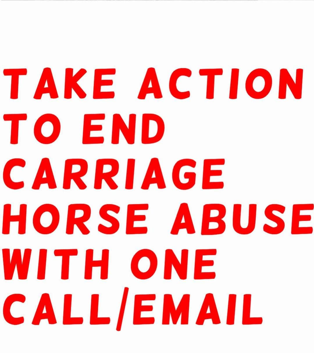 ベラ・ハディッドさんのインスタグラム写真 - (ベラ・ハディッドInstagram)「Hi friends ❤️- we need to tell @nyccouncil, @NYCSpeakerAdams  and @NYCMayor to pass legislation (Intro 573) (thank you @bobholdennyc )) to phase out cruel carriage horses, protect them while it’s still here and eventually replace it with a humane & electric alternative.  This has been going on for WAY too long in this kind of environment….Another sick, malnourished carriage horse collapsed in distress on the hot pavement of New York City while his driver whipped him repeatedly…..  We are also calling on the Manhattan District Attorney & the NYPD to investigate criminal animal abuse charges against Ian Mckeever for his abusive behavior. Ryder needs immediate help and to be released from his abuser. Can anyone comment below if they know where he is/ have any information on Ryder please?   It's barbaric to force horses like Ryder to pull heavy carriages in extreme heat in the busiest part of the busiest city in America without a place to break or eat.  We have to do something now. This should have been done years ago. Eric Adams, The world is watching!! Please do what is right for these animals. Take action.   LINK TO TAKE ACTION: nyclass.org/StopHorseAbuse」8月23日 7時19分 - bellahadid