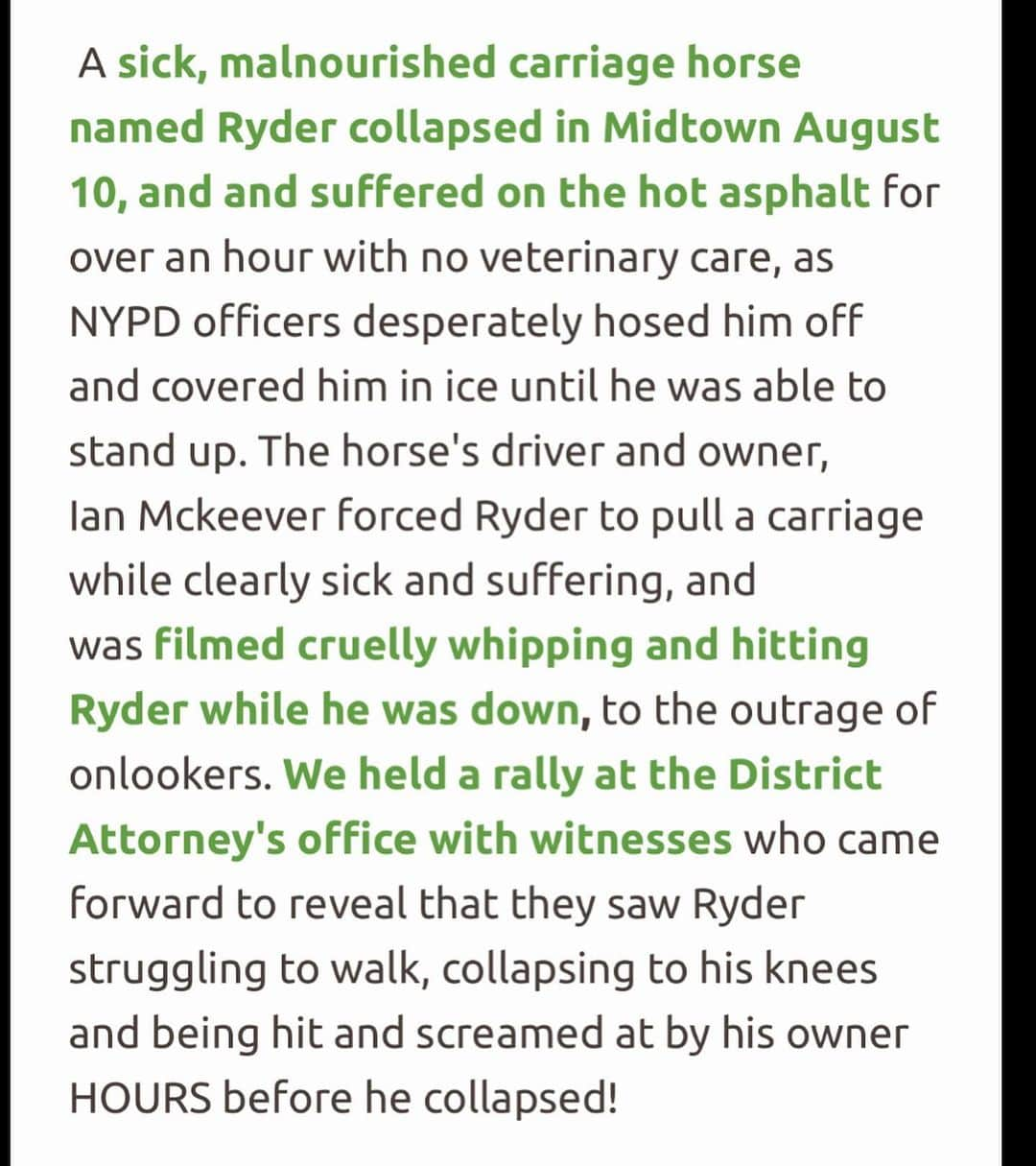 ベラ・ハディッドさんのインスタグラム写真 - (ベラ・ハディッドInstagram)「Hi friends ❤️- we need to tell @nyccouncil, @NYCSpeakerAdams  and @NYCMayor to pass legislation (Intro 573) (thank you @bobholdennyc )) to phase out cruel carriage horses, protect them while it’s still here and eventually replace it with a humane & electric alternative.  This has been going on for WAY too long in this kind of environment….Another sick, malnourished carriage horse collapsed in distress on the hot pavement of New York City while his driver whipped him repeatedly…..  We are also calling on the Manhattan District Attorney & the NYPD to investigate criminal animal abuse charges against Ian Mckeever for his abusive behavior. Ryder needs immediate help and to be released from his abuser. Can anyone comment below if they know where he is/ have any information on Ryder please?   It's barbaric to force horses like Ryder to pull heavy carriages in extreme heat in the busiest part of the busiest city in America without a place to break or eat.  We have to do something now. This should have been done years ago. Eric Adams, The world is watching!! Please do what is right for these animals. Take action.   LINK TO TAKE ACTION: nyclass.org/StopHorseAbuse」8月23日 7時19分 - bellahadid