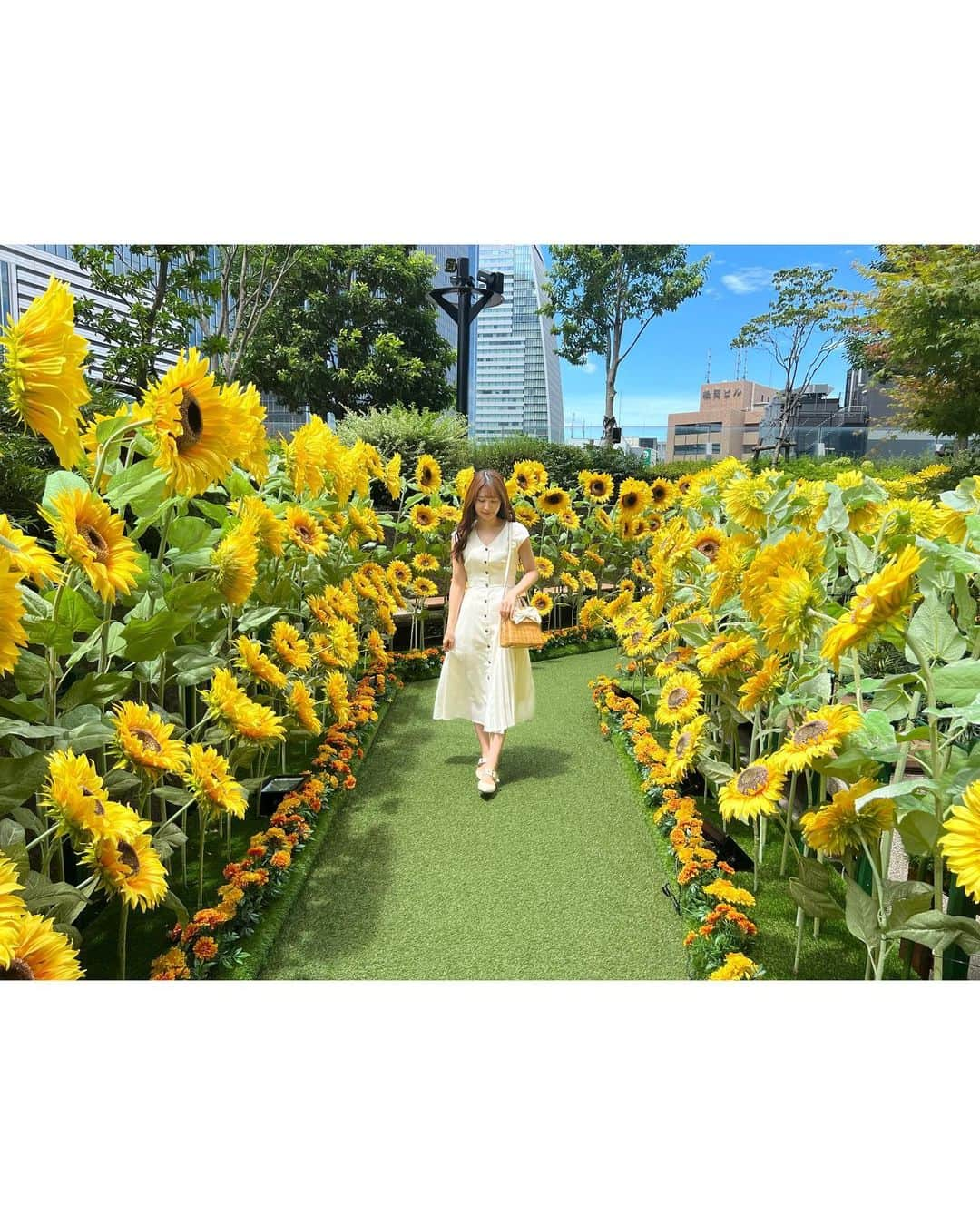 沢井里奈さんのインスタグラム写真 - (沢井里奈Instagram)「♡ . 大名古屋ビルヂング スカイガーデンのひまわり畑🌻✨ . ひまわりを見ると元気が出る☺️💓💓 . . #さわーコーデ 👗🫧 . onepiece♡ #Rirandture @rirandture_official  shose♡ #coeur @coeur__jp  bag♡ #JILLbyJILLSTUART @jillbyjillstuart_official  . . #ひまわり畑 #大名古屋ビルヂング」8月24日 20時07分 - sawairina