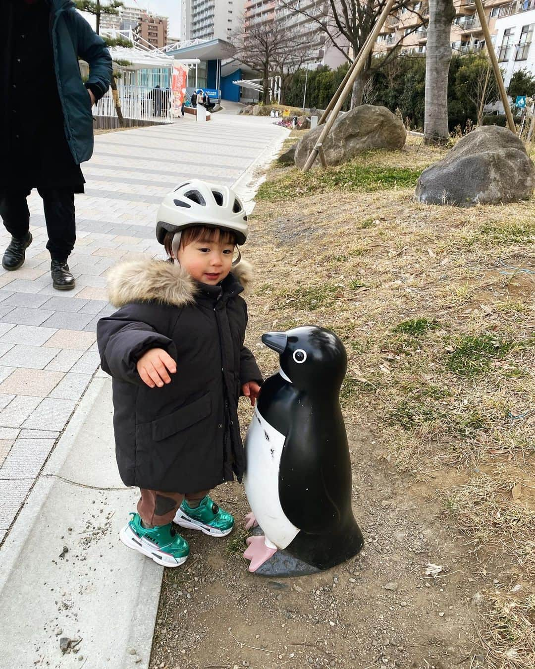 宮脇静香さんのインスタグラム写真 - (宮脇静香Instagram)「都内のマンションに住んでた時、 しながわ水族館徒歩圏内だったから よく遊びに行ったなあ☺️ 公園が広いし綺麗だし、休日にはキッチンカーが来て テラス席があってゆっくりランチやお弁当食べれるし、 泥遊びできるところもあるし緑いっぱいだし、 自転車の距離だけど都内なのに海入れるし、 もうここほんとに子育てに最高だった🥹 買い物するお店も充実してるし✨ おいしいインドカレー屋さんあるし✨ 児童センターもアットホームで温かい場所だったし✨  都内でマンションに住むならこのへんだったな🤩笑  #子育て #育児 #男の子 #男の子ママ #2歳　#2歳男の子」8月25日 16時26分 - shizukaaa8