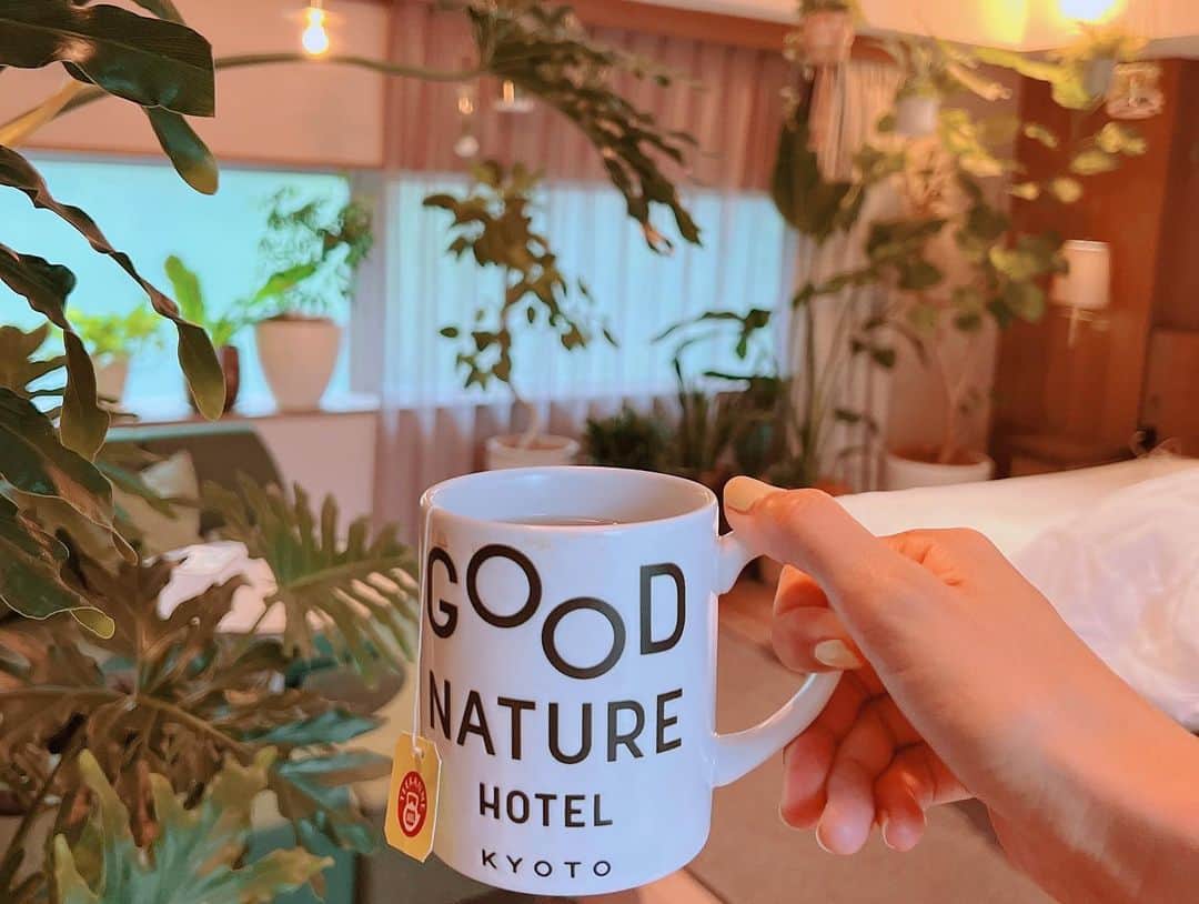 安田美沙子さんのインスタグラム写真 - (安田美沙子Instagram)「おはよう🌿  グリーンに囲まれたお部屋の ホテル@kyoto✨  いやされました🤍🤍🤍  #goodnaturehotel  #green #hotel #goodmorning #bruceweber  #nomakeup」8月26日 7時29分 - yasuda_misako