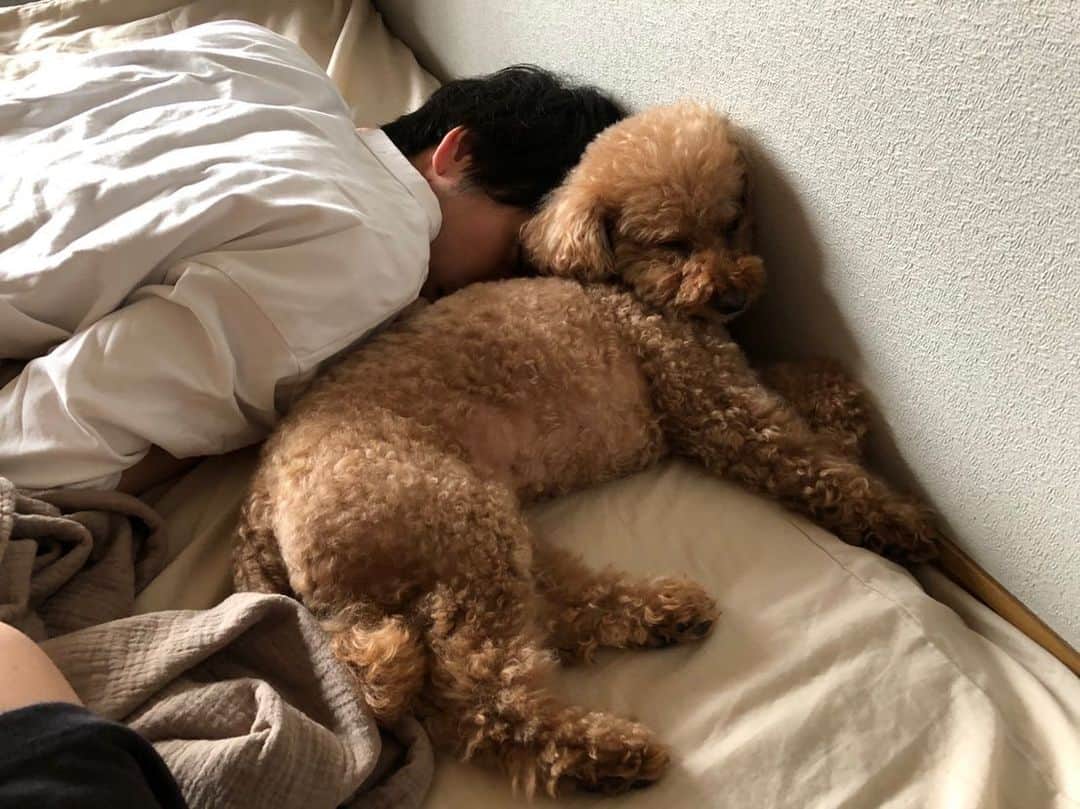高田夏帆さんのインスタグラム写真 - (高田夏帆Instagram)「人間はあったか枕なのだ。」8月26日 11時27分 - takadakaho
