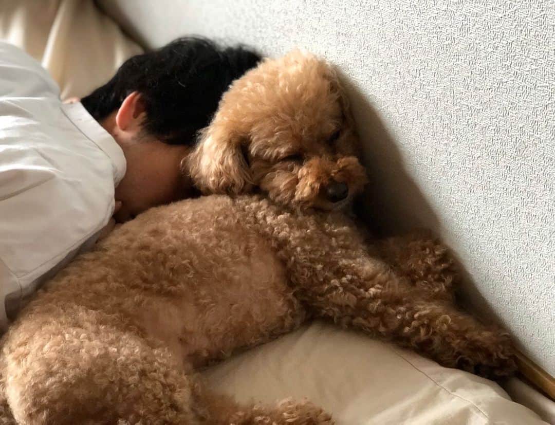 高田夏帆さんのインスタグラム写真 - (高田夏帆Instagram)「人間はあったか枕なのだ。」8月26日 11時27分 - takadakaho