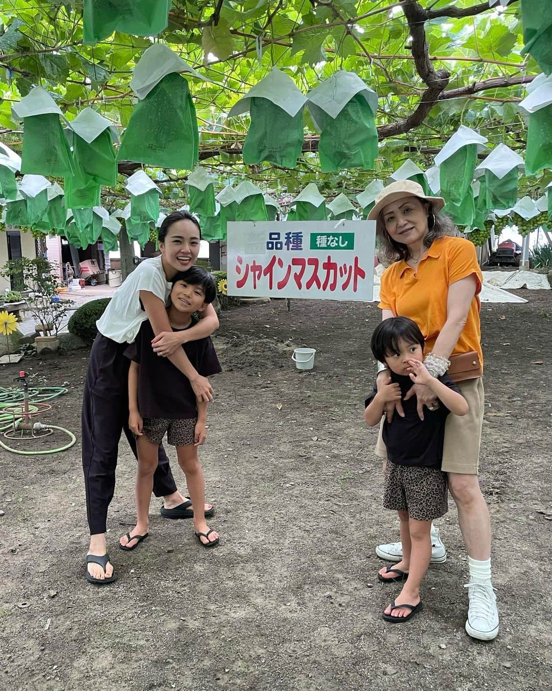 春名亜美さんのインスタグラム写真 - (春名亜美Instagram)「山梨の梶原農園に毎年恒例のシャインマスカット狩りへ🍇 with @yasuko_haruna   ここのブドウたちはどの種類も大きくて、美味しい😋 特に今回は #バイオレットキング が実も大きくてすごく美味しかった！  去年は一人でカットできなかった次男も、今年は一人でブドウの軸をカットすることができました✂︎🍇  自分で選んで取ったブドウは美味しさ倍増☺️  帰りにはほうとうも食べて🥰  さらに言うと、またトイザらスにも行き😇  大充実な一日🫶🏻 ・ ・ ・ #梶原農園　#ぶどう狩り #シャインマスカット #シャインマスカット狩り #山梨 #ほうとう #夏休み #ばあばと孫 #バイオレットキング #ll_旅記録」8月26日 17時48分 - amiharunaami