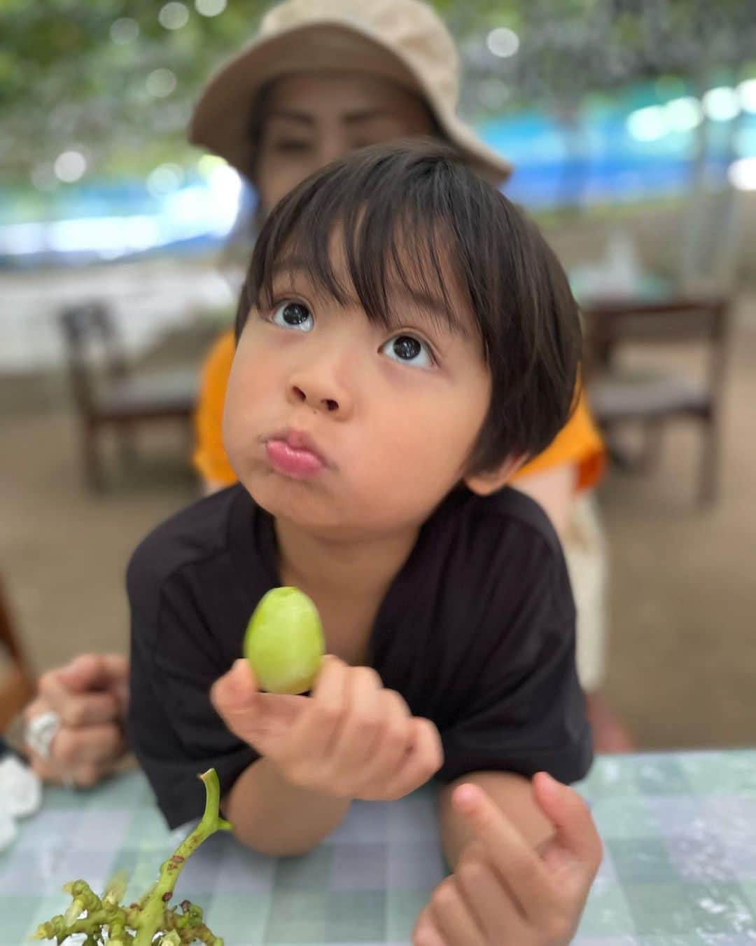 春名亜美さんのインスタグラム写真 - (春名亜美Instagram)「山梨の梶原農園に毎年恒例のシャインマスカット狩りへ🍇 with @yasuko_haruna   ここのブドウたちはどの種類も大きくて、美味しい😋 特に今回は #バイオレットキング が実も大きくてすごく美味しかった！  去年は一人でカットできなかった次男も、今年は一人でブドウの軸をカットすることができました✂︎🍇  自分で選んで取ったブドウは美味しさ倍増☺️  帰りにはほうとうも食べて🥰  さらに言うと、またトイザらスにも行き😇  大充実な一日🫶🏻 ・ ・ ・ #梶原農園　#ぶどう狩り #シャインマスカット #シャインマスカット狩り #山梨 #ほうとう #夏休み #ばあばと孫 #バイオレットキング #ll_旅記録」8月26日 17時48分 - amiharunaami