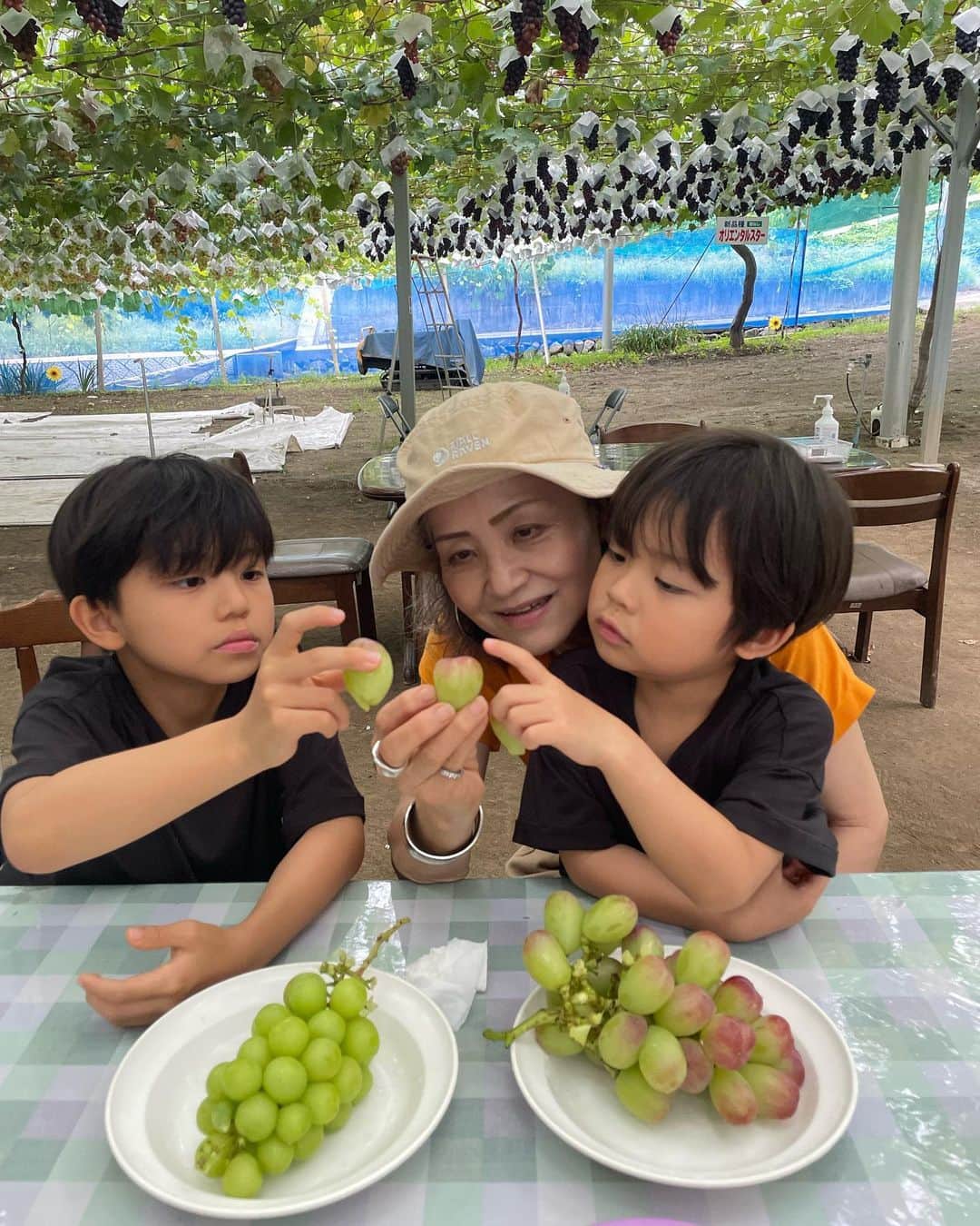春名亜美さんのインスタグラム写真 - (春名亜美Instagram)「山梨の梶原農園に毎年恒例のシャインマスカット狩りへ🍇 with @yasuko_haruna   ここのブドウたちはどの種類も大きくて、美味しい😋 特に今回は #バイオレットキング が実も大きくてすごく美味しかった！  去年は一人でカットできなかった次男も、今年は一人でブドウの軸をカットすることができました✂︎🍇  自分で選んで取ったブドウは美味しさ倍増☺️  帰りにはほうとうも食べて🥰  さらに言うと、またトイザらスにも行き😇  大充実な一日🫶🏻 ・ ・ ・ #梶原農園　#ぶどう狩り #シャインマスカット #シャインマスカット狩り #山梨 #ほうとう #夏休み #ばあばと孫 #バイオレットキング #ll_旅記録」8月26日 17時48分 - amiharunaami