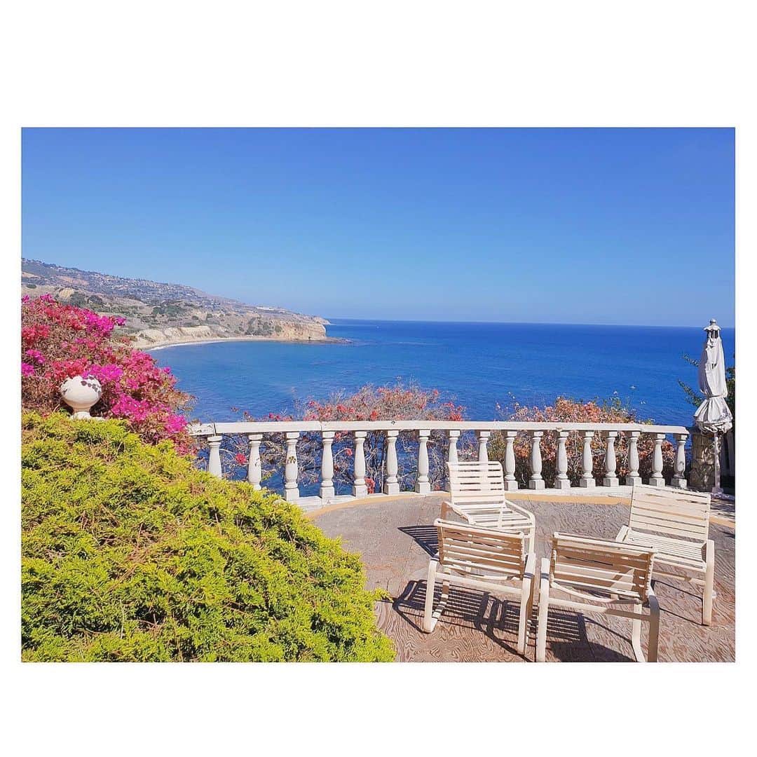 キム・アジュンさんのインスタグラム写真 - (キム・アジュンInstagram)「🌳 @gettymuseum  @bazaarbyjose @sonofagunrestaurant」8月26日 17時50分 - ashia_kim
