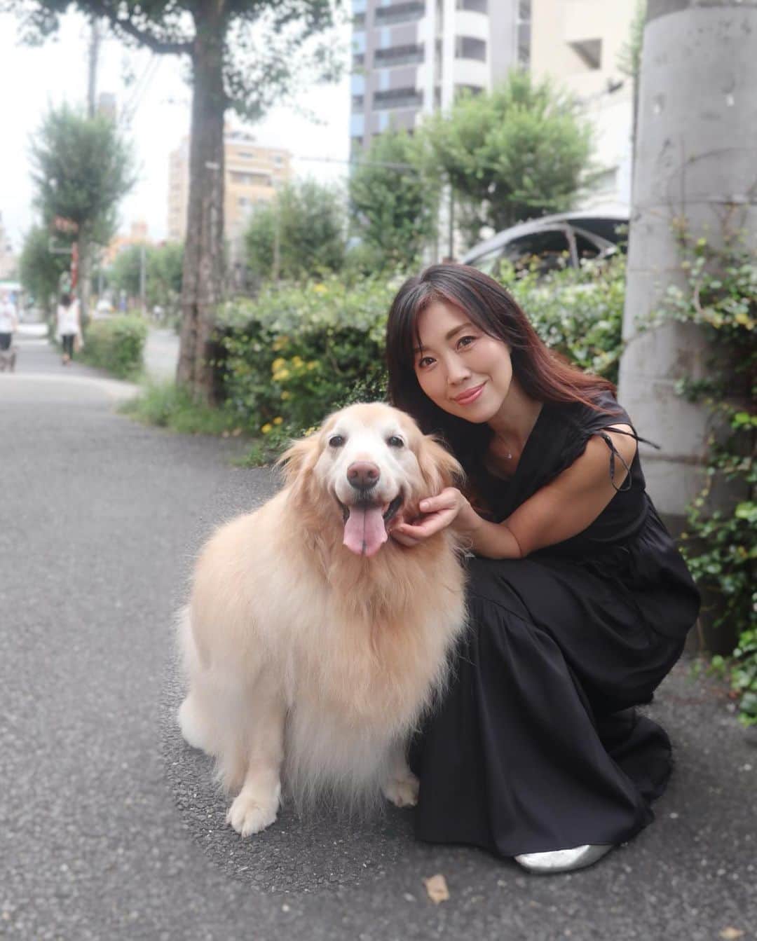 ImotoEtsuyo さんのインスタグラム写真 - (ImotoEtsuyo Instagram)「#こんばんは  先日  #愛犬  #ココア  ・ #シャンプー  #トリミング へ。 ・ 元気でいてくれて ありがとう。 #大好き  ・ #ゴールデンレトリバー  #goldenretriever  #わんこ  #dog  #癒し  #犬スタグラム  #dog  #dogsofinstagram  #doglover」8月27日 21時17分 - bisuhada
