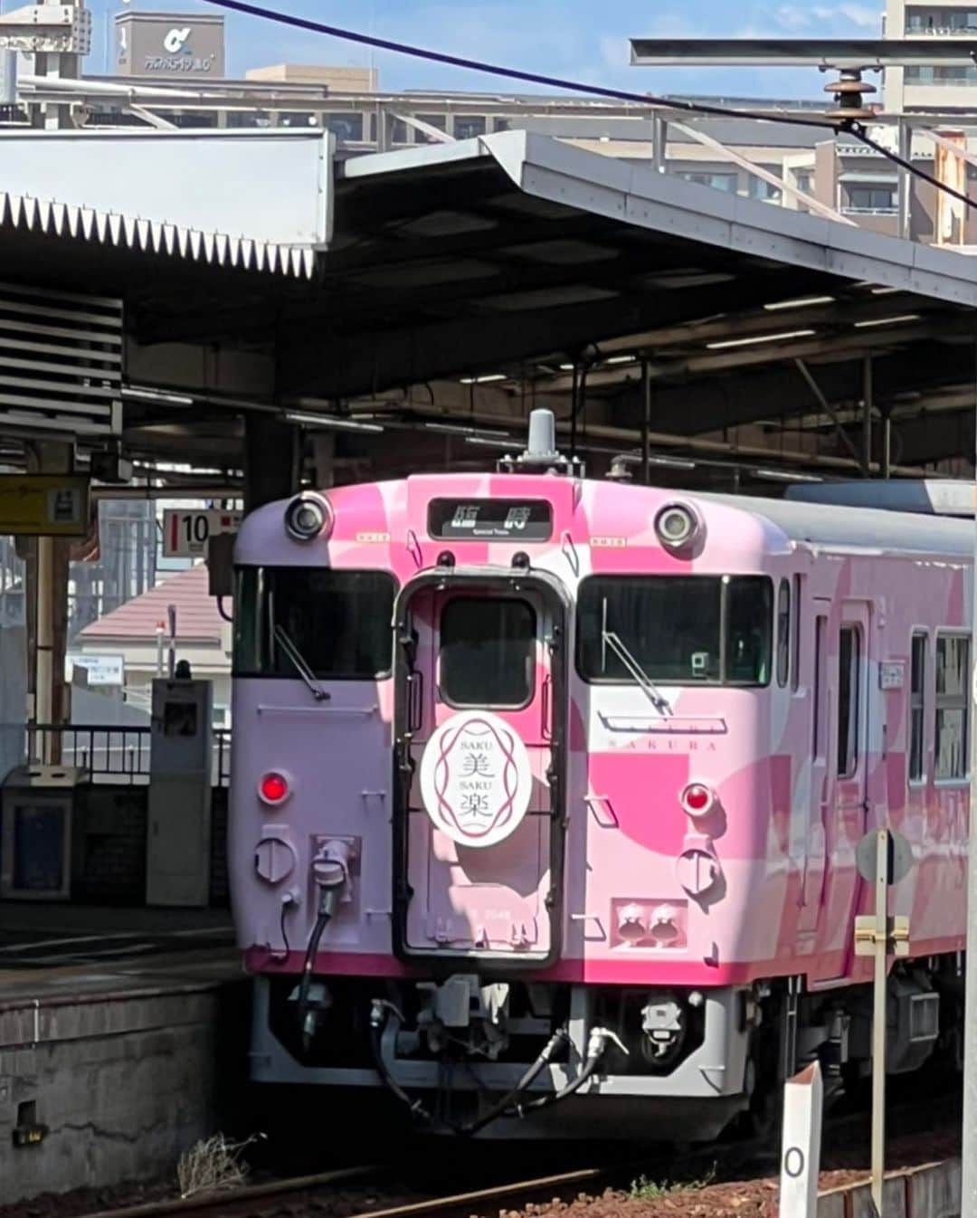 キャシー中島さんのインスタグラム写真 - (キャシー中島Instagram)「* 新幹線に乗って🚄岡山まで行き、そこから「しおかぜ」に乗り換え今治に向かっています。 明日、今治のタオル美術館でトークショーをします。  岡山駅でかわいい電車みっけ💕💕💕 桜色の電車です❣️  でも私が乗るのはこちら！ #しおかぜ です。 夏休みが終わりに近づいているからかしら新幹線はとても空いていました。 しおかぜ号は年配の方が大勢乗っていました。 そういう私も年配さんですが❣️  瀬戸大橋を渡る時、瀬戸内海の美しいこと❣️ 見惚れてしまいました。 夕方には今治に着きます。  そんな頃、勝野パパは旅番組のロケで島根県隠岐島に行ってます。 久しぶりにプロペラ機に乗ってご機嫌さんですね❤️  今治のホテルにチェックインしました。 今治国際ホテル、今治に来た時は必ずここに泊まります。 温泉もあって、スタッフの方たちも、おかえりなさいって言ってくれて❤️居心地のいいホテルです❣️  今治の街を見渡せる部屋でチクチクしています。  明日は11：30からタオル美術館でトークショー‼️ がんばります❤️  パパは隠岐島で撮影中。  素敵なところね！ まるで蝋燭か灯台のように見える島ね‼️ とっても美しいわ❣️  去年はこの番組で一緒に鹿児島に行ったわね❣️  撮影頑張ってくださいませ♪  チクチクタイムがハッピーな私です❤️❤️❤️」8月27日 21時33分 - official_kathynakajima
