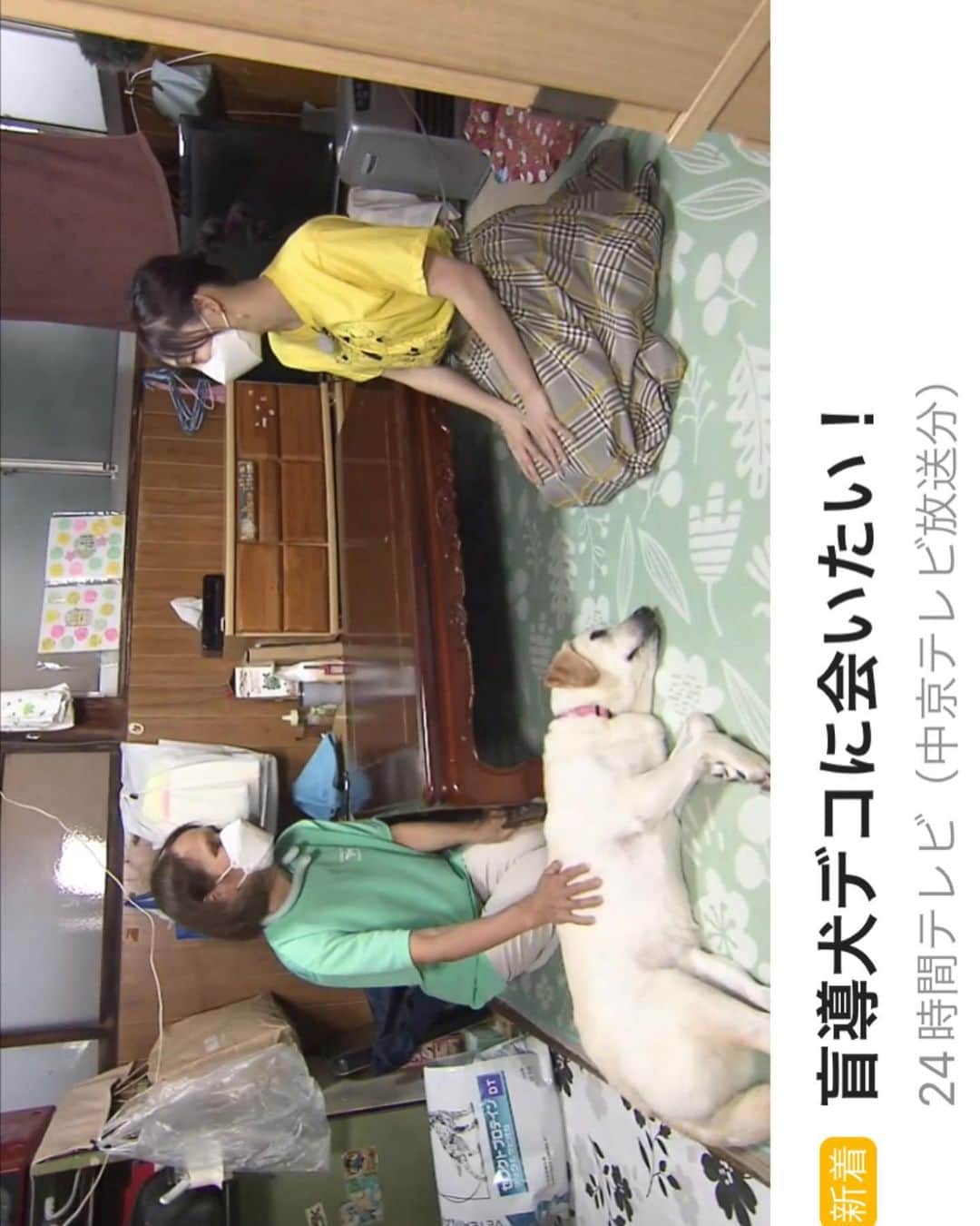 須田亜香里さんのインスタグラム写真 - (須田亜香里Instagram)「#24時間テレビ  中京テレビのチャリティーパーソナリティーとして8/27、28はスタジオから生放送出演させてもらっています💜  24時間TシャツはSサイズのをお袖2回ロールアップして着ると私の骨格には合うみたい。  先日岐阜の方で盲導犬のデコちゃんに会いたい下梶さんに取材した時のロケも放送されました。 ロキポで無料配信されています。 ぜひご覧ください🦮  8月28日(日)中日新聞コラム #てくてく歩いてく もその時のことを書きました。  今夜は25:30〜MBSラジオ生放送 不思議なスケジュールですが、よかったらお付き合いくださいね☺️ 明日の朝には中京テレビに戻ります🌟  中京テレビはメタバース会場での募金も行っていて、そちらはどなたでも全国から参加できます！ 明日も1日に2回参加して、私たちはトークをして、みんなはチャットで参加できるのでぜひ遊びにきてね💖」8月27日 22時35分 - akarisuda