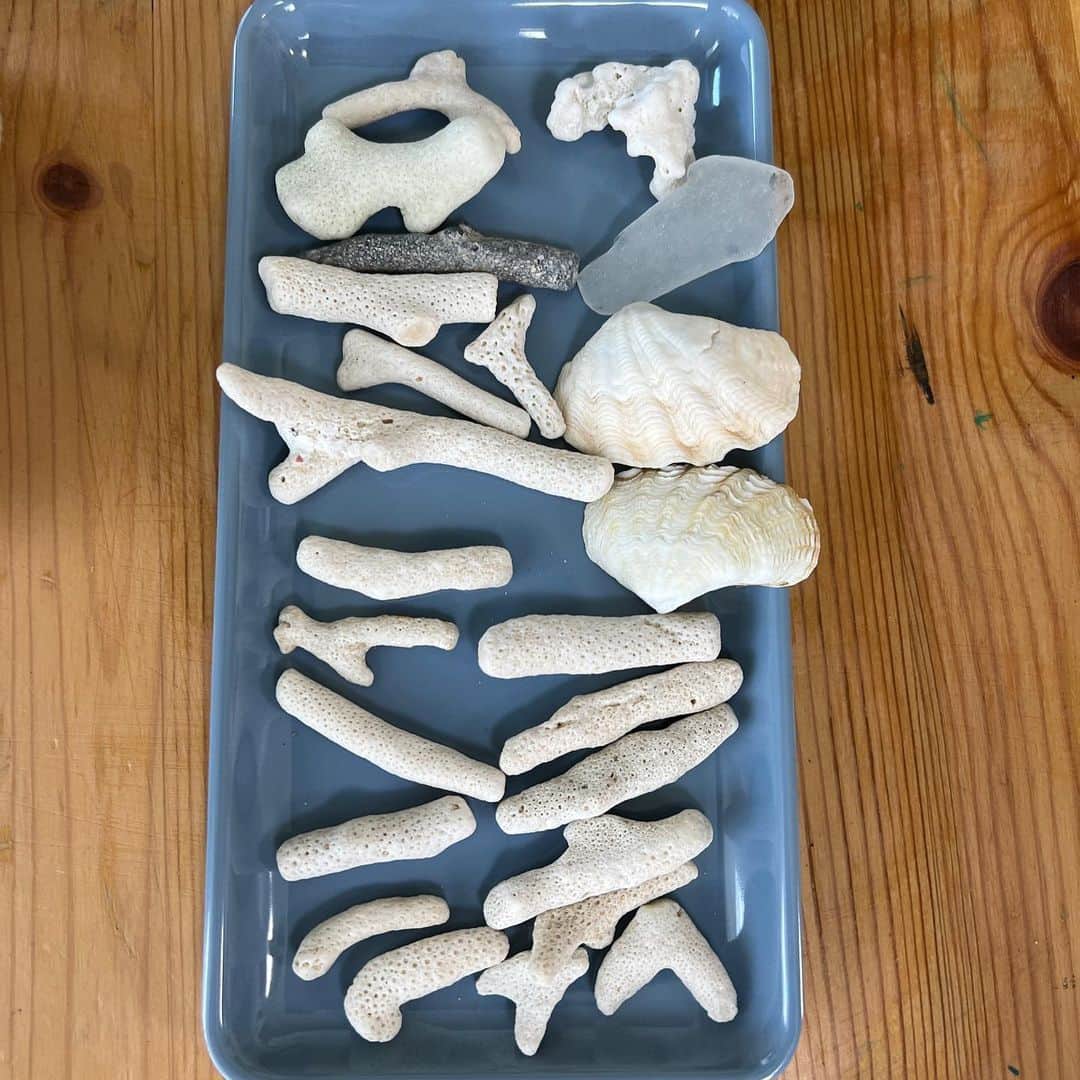 せんももあいしーさんのインスタグラム写真 - (せんももあいしーInstagram)「沖縄で拾った貝殻やサンゴでドリームキャッチャーを作りました🐚 夏休みの自由研究です😄」8月28日 16時40分 - oyabakatousan