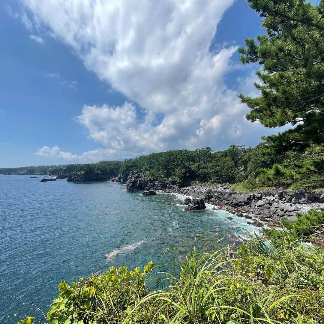 角田聖奈さんのインスタグラム写真 - (角田聖奈Instagram)「love ocean🤍🌊  休日は自分のパワーアップをするための時間を作るようにしてるよ☺️ 不要なものを手放して新しいエネルギーと交換♻️  林の中をお散歩して海まで。気持ち良かった🚶‍♀️🍃 自然は本当に美しい。  #海 #ハイキング #お散歩 #アスレジャー #レギンス #有酸素運動 #エネルギーチャージ #自然 #浄化 #新月 #太陽 #晴れ女 #健康美 #パーソナルトレーナー #栄養士」8月28日 20時38分 - seina1105