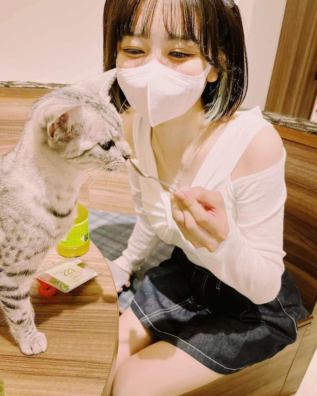 キム・イェリンさんのインスタグラム写真 - (キム・イェリンInstagram)「ちあわせ🐱」8月29日 22時29分 - peach_chu_