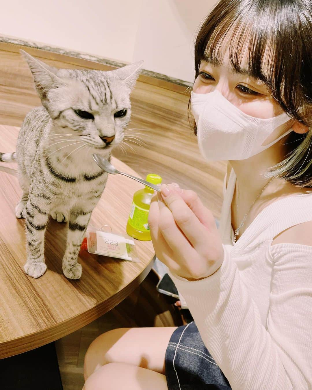 キム・イェリンさんのインスタグラム写真 - (キム・イェリンInstagram)「ちあわせ🐱」8月29日 22時29分 - peach_chu_