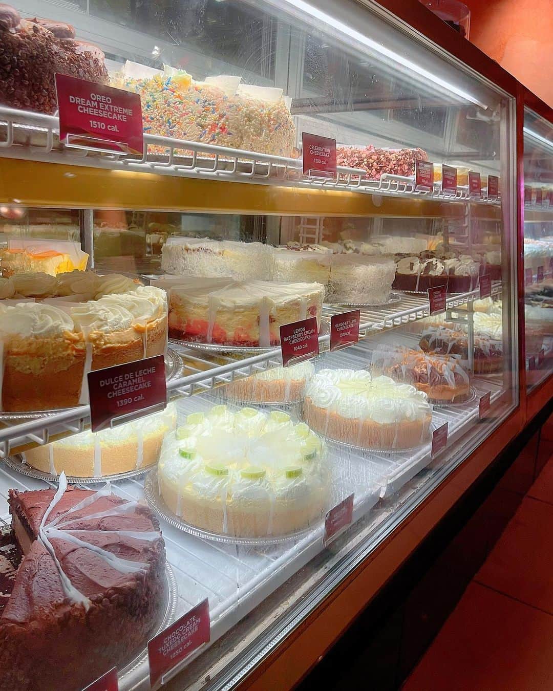 百合華さんのインスタグラム写真 - (百合華Instagram)「フロリダ州マイアミにある『AVENTURA MALL』一階のアメリカンレストラン『The Cheesecake Factory』にて女子会ディナータイム🍽💕  サラダもパスタも量が凄くてデザートのチーズケーキに辿り着けなかったけど美味しいアメリカ料理をお腹いっぱい頂きました🇺🇸  後ろのお席に座っていた小さな子供ちゃんがあまりにも可愛すぎて思わず一緒にお写真を撮って貰っちゃいました😍💓🎶  お買い物を存分に楽しんだ後に人気のレストランのテラス席で常夏気分を味わいながらお食事が出来てとっても素敵なひとときで御座いました💖  #usa #miami  #florida  #dinnertime  #americanfood  #amerikanrestaurant  #thecheesecakefactory」8月30日 17時44分 - yurika.lovelily