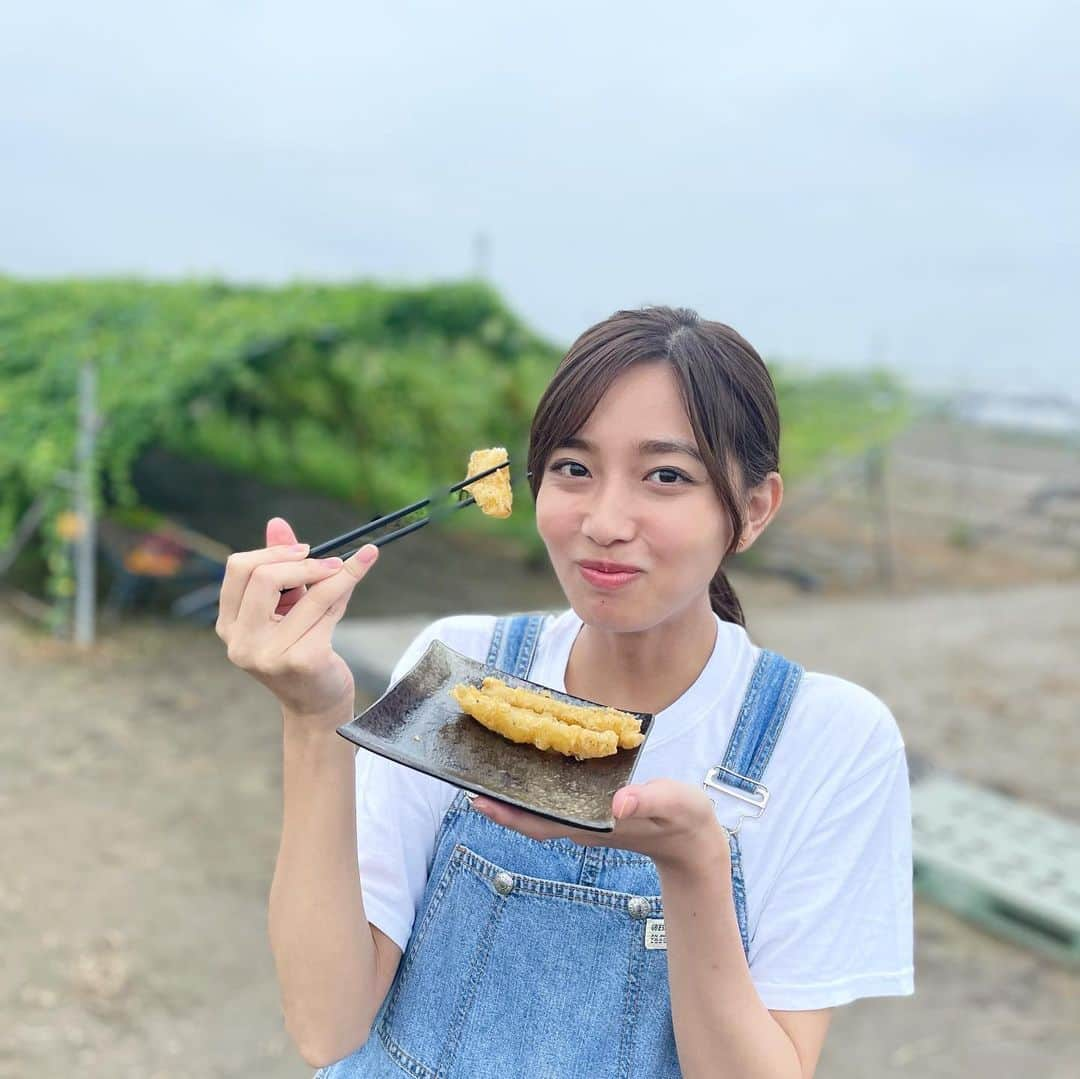 間瀬遥花さんのインスタグラム写真 - (間瀬遥花Instagram)「. 今朝のZIP!は珍しいアップルゴーヤの農園から生中継👩🏼‍🌾 . . 野菜抱えるともれなく「私が作りました」風に なっちゃうけど笑 . むしろ美味しくいただきました😋 . . . #zip #生中継 #中継 #アップルゴーヤ #ゴーヤ #ゴーヤー #ゴーヤ栽培 #収穫」8月30日 18時15分 - maseharu_929