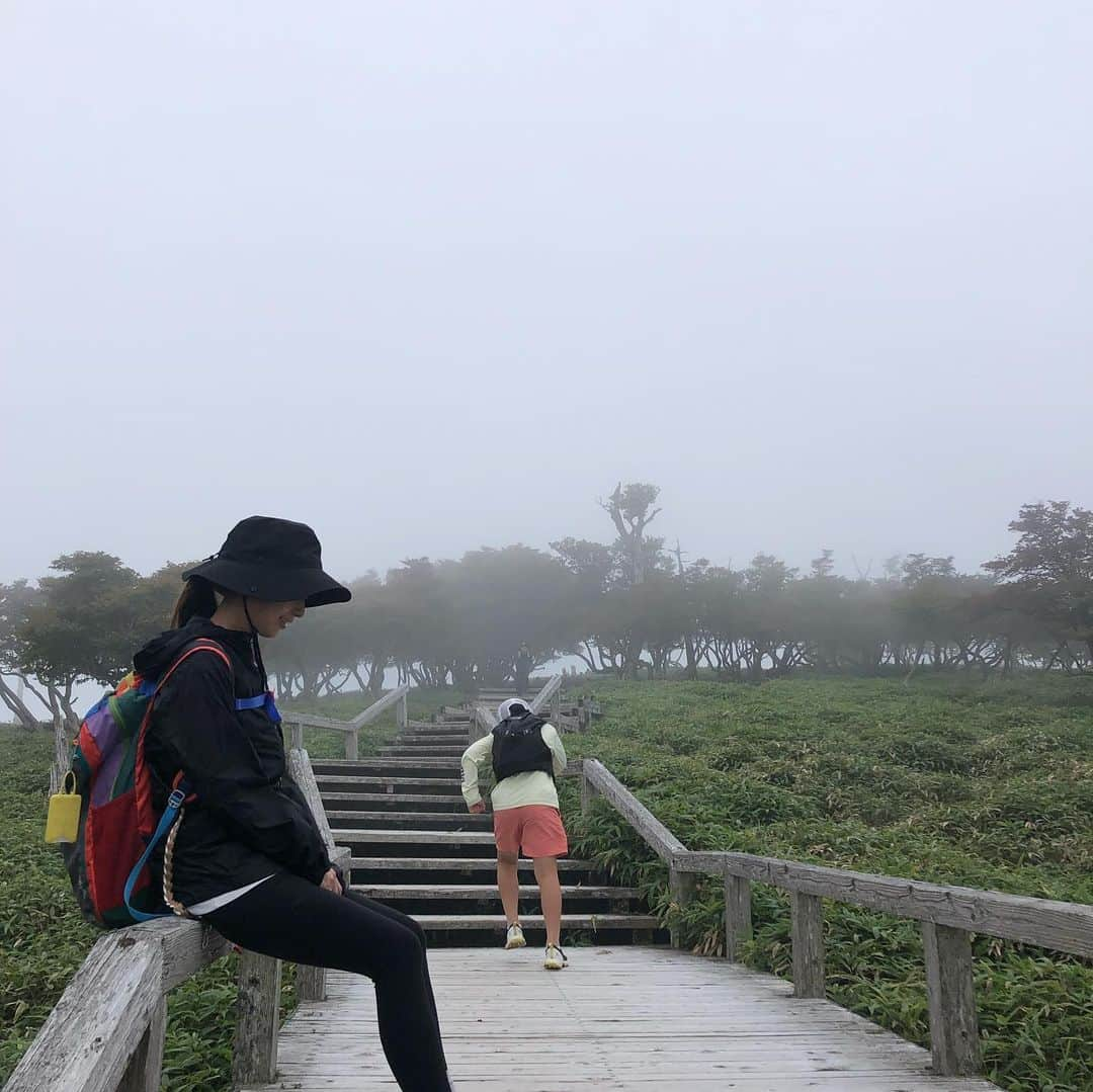 外村久美子さんのインスタグラム写真 - (外村久美子Instagram)「・ 日本有数の雨の場所。 今回も濃霧。 でもそれが幻想的な雰囲気を更に演出して好きな🏔 大蛇ぐらは、初の晴天で絶景✨ 年間20人くらい転落してるとかしてないとか。。 #大台ヶ原」8月30日 20時05分 - kummy153