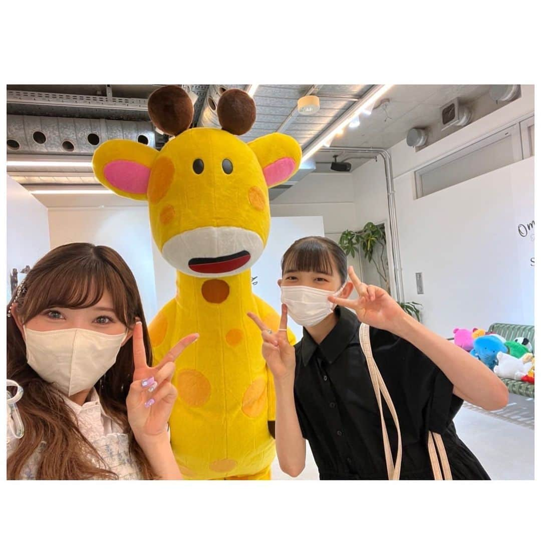 ANGERMEさんのインスタグラム写真 - (ANGERMEInstagram)「. こんばんは！#松本わかな です🙉  この前、川村さんとたべっ子どうぶつカフェに行ってきました〜🦁  きりんさん可愛かった😍  あと、気になっていたお店でブリュレのかき氷も食べました！  パリパリなのに、ふわふわで不思議🤭  すごく美味しかったからまた食べたいな🤍  川村さんとデートできて幸せ🥰  #アンジュルム #ANGERME #川村文乃 さん」8月30日 20時25分 - angerme_official