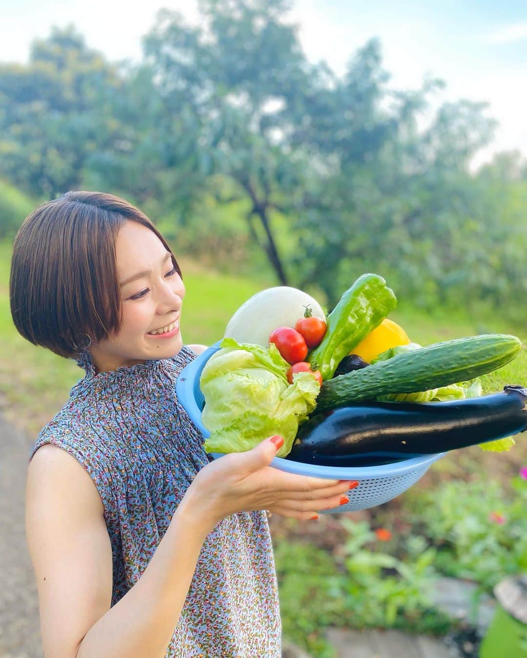 酒井瞳さんのインスタグラム写真 - (酒井瞳Instagram)「８月ラストだー😳  今日は野菜の日🥦ということで  酒井家の畑で採れた自慢の夏野菜たち🍅🍆  ほんとに沢山👏✨  いつも実家に帰った時  新鮮な採れたてお野菜が食べられる😋  しかも。。。大きい🤣‼️  自然の中、宮崎の眩しい太陽で  すくすく育ってます😎👍  育ててくれてる両親に感謝🙏❤️  #宮崎 #延岡 #実家 #畑 #夏野菜 #採れたて #新鮮 #田舎 #野菜 #vegetable #家庭菜園 #野菜好き」8月31日 8時30分 - s.sakaihitomi
