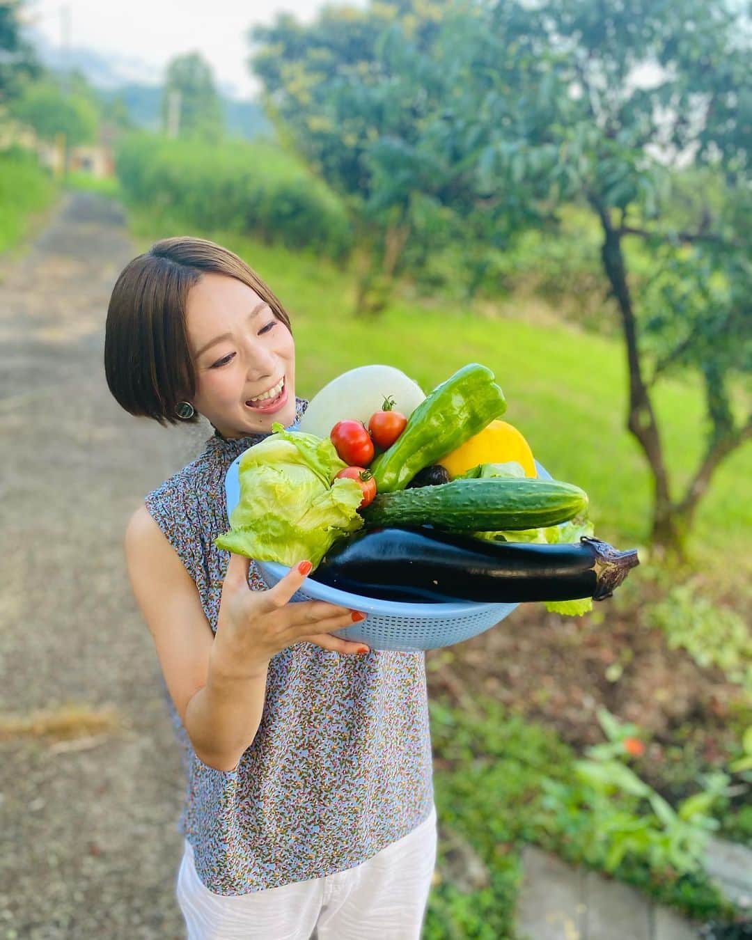 酒井瞳さんのインスタグラム写真 - (酒井瞳Instagram)「８月ラストだー😳  今日は野菜の日🥦ということで  酒井家の畑で採れた自慢の夏野菜たち🍅🍆  ほんとに沢山👏✨  いつも実家に帰った時  新鮮な採れたてお野菜が食べられる😋  しかも。。。大きい🤣‼️  自然の中、宮崎の眩しい太陽で  すくすく育ってます😎👍  育ててくれてる両親に感謝🙏❤️  #宮崎 #延岡 #実家 #畑 #夏野菜 #採れたて #新鮮 #田舎 #野菜 #vegetable #家庭菜園 #野菜好き」8月31日 8時30分 - s.sakaihitomi