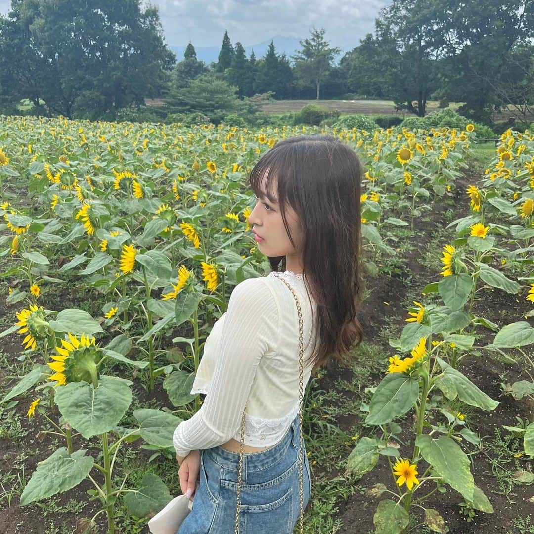 黒江心温さんのインスタグラム写真 - (黒江心温Instagram)「- ̗̀ 🌻 ̖́-           お花公園でのふうちゃん特集❕ さすがに可愛すぎる😵💘     最後に私も載せてるから見てね、、?笑                  #ひまわり畑」8月31日 20時37分 - koharun_586