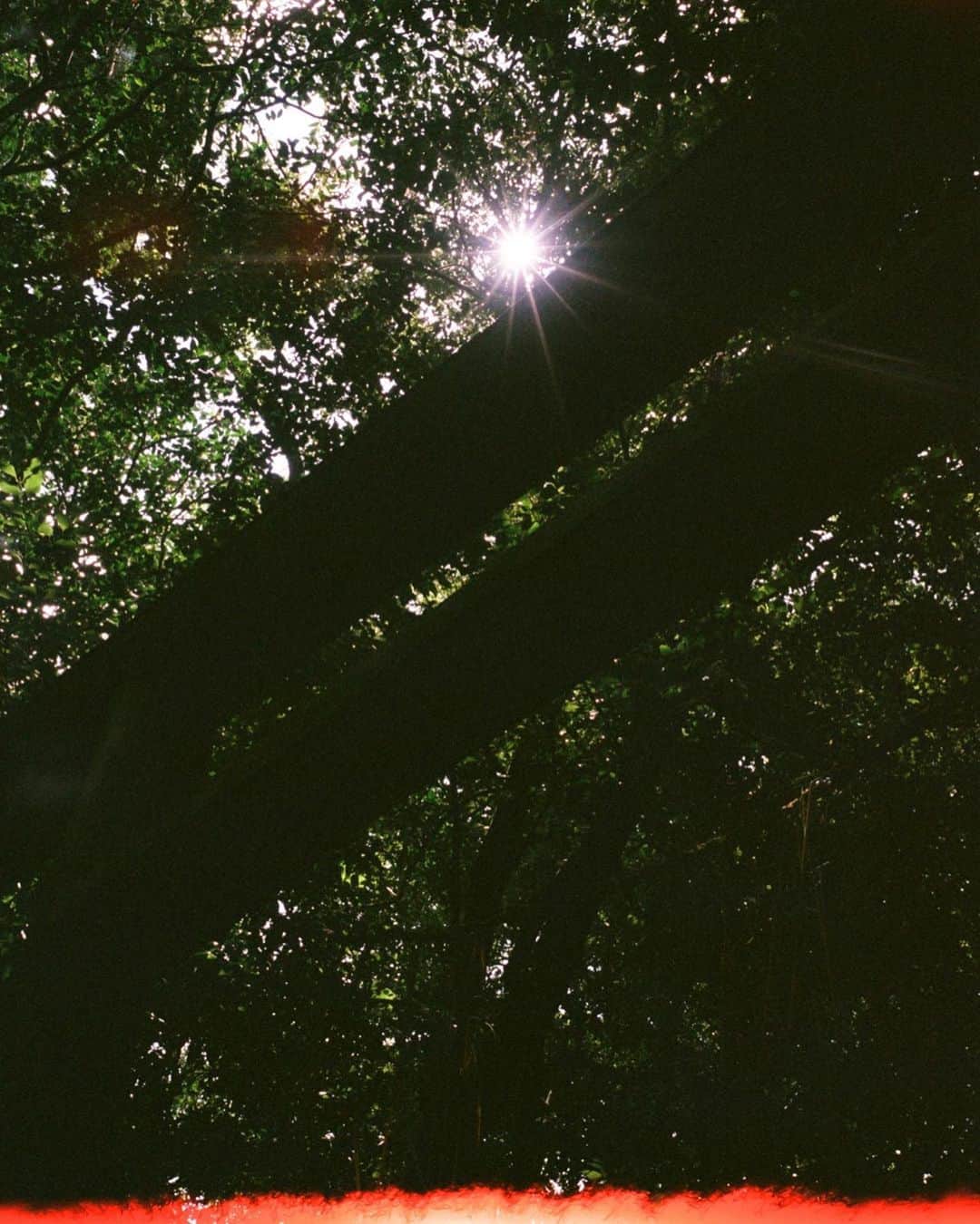 平祐奈さんのインスタグラム写真 - (平祐奈Instagram)「🌾🌾🌾 夏の思い出をしっかり納めて 秋も存分に楽しもーっ！🍂  よろしくっ9月。 台風お気をつけてください🌀」9月1日 22時58分 - yunataira_official