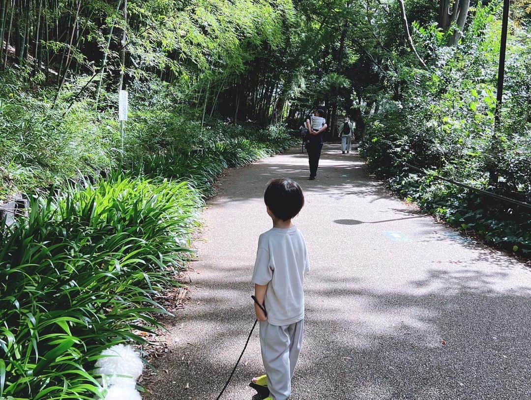 安田美沙子さんのインスタグラム写真 - (安田美沙子Instagram)「こんばんは✨  幼稚園もはじまり、改めて　夏の思い出にひたる。  整頓して現像📷したいな🤍  THEHOUSEからの せせらぎ公園 からの定番の ファンタジーキッズリゾート🏝  動画の私の背中の筋肉に びつくり。  そんな運動できてないのに。笑  こども筋と名付けよう。  頭の中を「夏の終わり」が流れている。。。  #夏の終わり　#thehouse #みさきドーナツ #もろいそ　#まだまだあるよ #また載せます #こども筋　#ムキムキかあちゃん #港北 #私はIKEAに行きたかった。。」9月1日 23時14分 - yasuda_misako