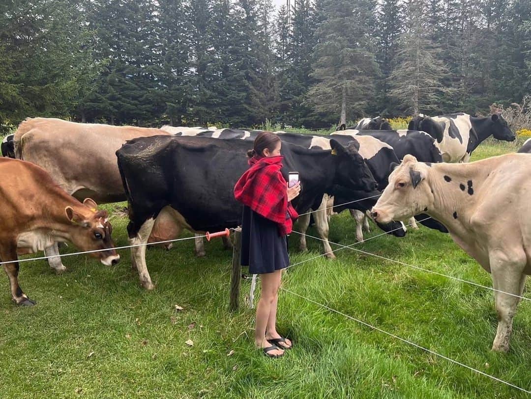 松本恵奈さんのインスタグラム写真 - (松本恵奈Instagram)「牛と私。 みんなとっても可愛いです🐄 #北海道 #家族旅行」9月3日 17時10分 - ena1123