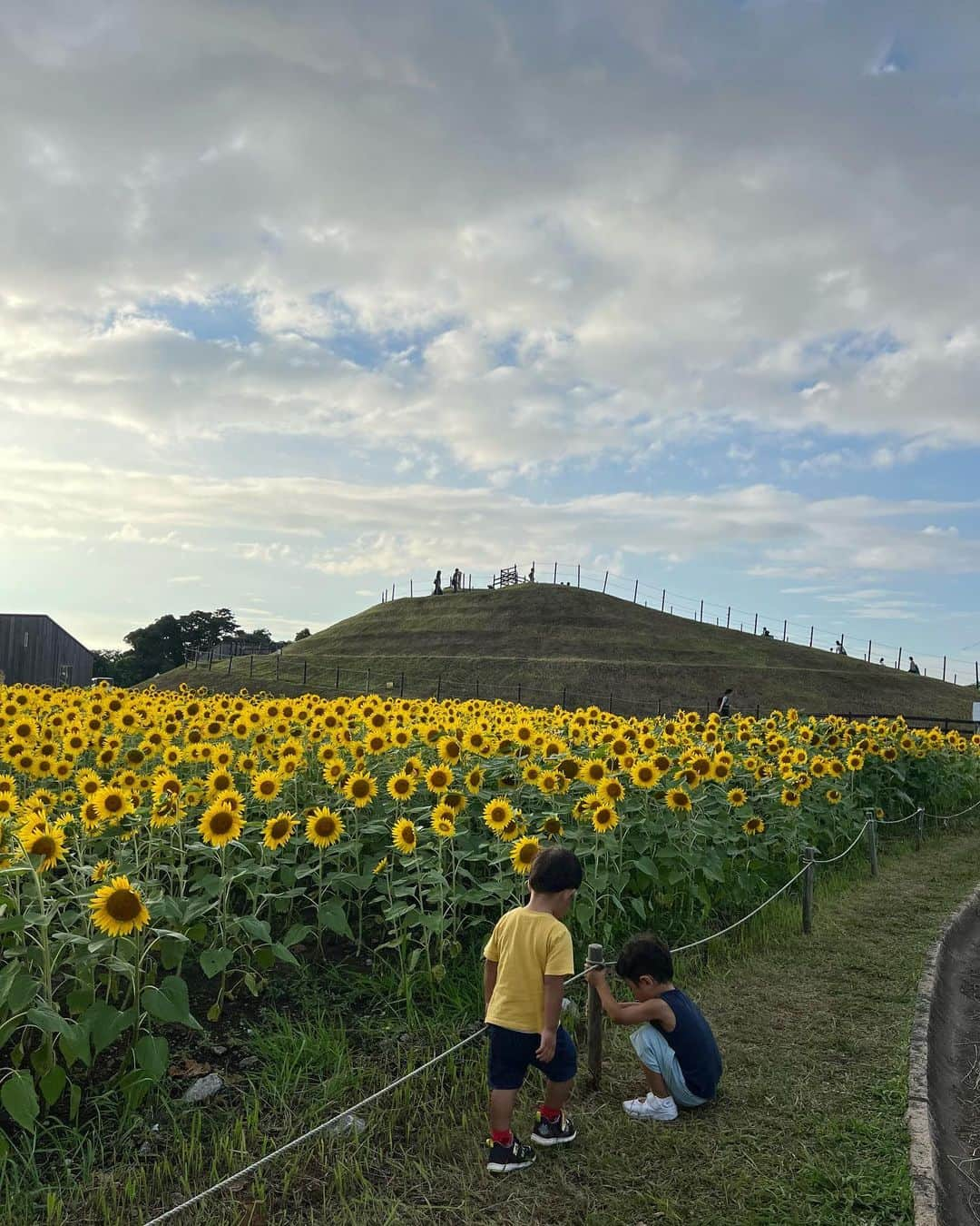 Ayaさんのインスタグラム写真 - (AyaInstagram)「ソレイユの丘🌻 向日葵綺麗に咲いてた🫶  初めてポニー🐎は怖がらず 全然大丈夫やった。笑  動物みたり🦘公園でもいっぱい 友達と遊べて満足だったであろう土曜日🥰 かき氷🍧食べて口がゾンビ🧟‍♂️みたい。笑  可愛い花柄スカートは @vicente__official 🌼🖤  #ソレイユの丘#向日葵#休日#ママコーデ#ママファッション#2児ママ#今日のコーデ#スカートコーデ#毎日コーデ#男の子ママ #3歳男の子#0歳#3歳差育児」9月3日 21時32分 - aya__fit