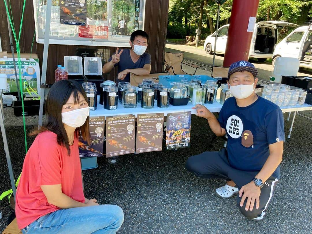 内山ミエさんのインスタグラム写真 - (内山ミエInstagram)「メダカさんのイベントに行ってきました！☺️ 普段なかなか見ることが出来ない種類のメダカさんにたくさん会えたり、貴重なお話も聞くことが出来ました🐟  魚はかわいい🥰かっこいい！  #メダカ #めだか #弥彦 #弥彦おもてなし広場  #越後めだか」9月4日 19時39分 - mieuchiyama