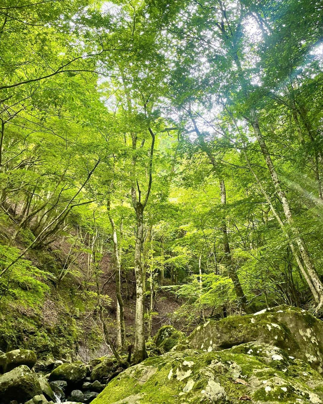 フミカさんのインスタグラム写真 - (フミカInstagram)「. . 砂丘、海、川、山 自然と共に撮影しており 自然の素晴らしさはもちろん、 直面する自分の弱さと闘ったり 面白い体験をしております。  まだまだ、ちっぽけだなぁ。と反省したり いや、褒めてあげよう。となだめてみたり 自分の中で忙しくなる最近です。笑  初心に戻る感覚というのか、、、 改めて『フミカ』を創り上げサポートしてくださる プロフェッショナルなスタッフの皆さんと 仕事できることが本当に有り難く 身に染みております。。𓈒𓏸𓐍  魂をのせた作品を皆さんに お届けできる日を楽しみに頑張れます✴︎˖°  *～*～*～*～*～*～*～*～*～*～*～*～*～*  ＼＼主演映画　ネット配信 & DVD発売中／／  『農家の嫁は、取り扱い注意！』part１& part２  ＼＼発売中／／  ◉1st写真集『桃色空気』  【デジタル写真集】  ◉『月光夜』（少年画報社） ◉『白昼夢』（少年画報社） ◉『軟体快楽天使』（集英社） ◉『フミカのヒミツ』Vol.1（講談社） ◉『フミカのヒミツ』Vol.2（講談社） ◉「刹那」（少年画報社） ◉「ベストOfフミカ 砕けて光るガラクタな世界に」（小学館） ◉「極ナマ。」（集英社） ◉「密事」（少年画報社） ◉「美しさとは.....」（集英社） ◉「第四章 22世紀まで愛して」（小学館） ◉「第三章 押し寄せる愛の波」（小学館） ◉「第二章 もっと奪って私の愛を」（小学館） ◉「愛のめばえ」 (少年画報社) ◉「第一章 愛をあつめて」 (小学館) ◉「月刊＋vol.1」 (小学館) ◉「月刊＋vol.2」 (小学館)  #週刊プレイボーイ#SENSE #農家の嫁は取り扱い注意 #フミカ#フミカグラビア #フミカキック#グラビアモデル#グラビア #ヤングジャンプ#ヤングジャンプ表紙 #ヤングキング#表紙#巻頭グラビア #国民的巨乳のお姉さん#FRIDAY #グラビア撮影#撮影#l4l#フライデー #週刊ポスト#月刊プラス#週刊現代 #デジタル写真集#発売中 #プライベート#オフショット #2023年カレンダー#カレンダー」9月8日 15時31分 - fu_mi_ka_516