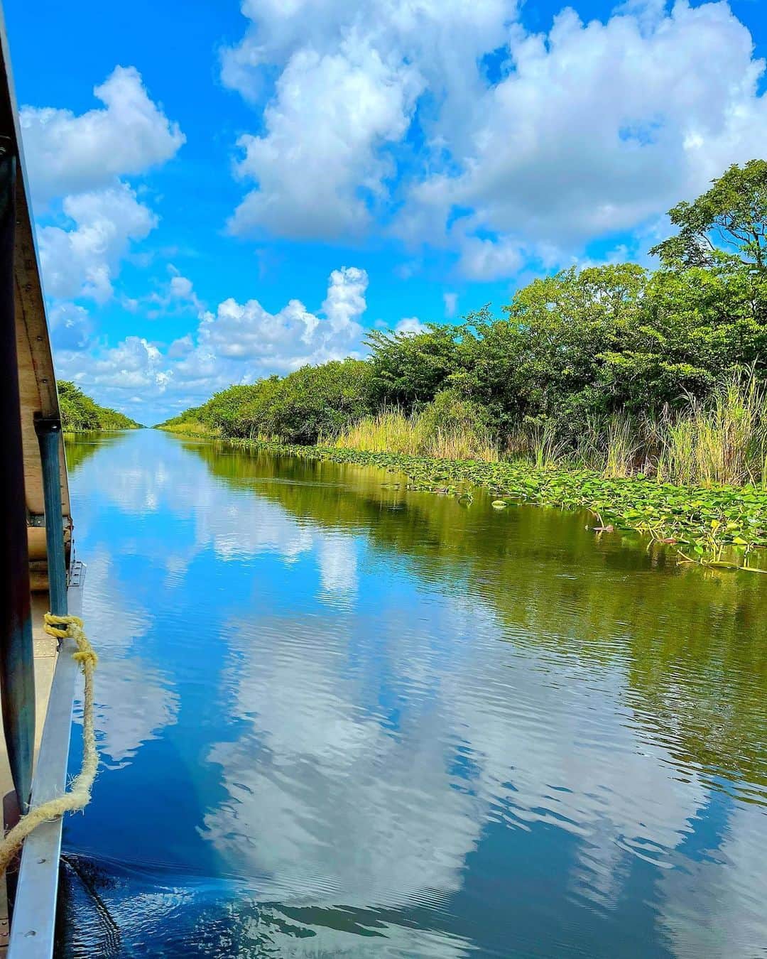 百合華さんのインスタグラム写真 - (百合華Instagram)「#evergladesnationalpark 🐊🐊🐊  #worldheritage   #まるで絵画のような風景 🖼  #usa #miami  #世界遺産 #美しい風景  #世界自然遺産 #世界遺産が好き  #世界遺産クルーズ #世界自然遺産クルーズ  #世界遺産って素晴らしい  #世界遺産を学んで平和を願う  #世界遺産から発信するスタイル」9月8日 16時43分 - yurika.lovelily