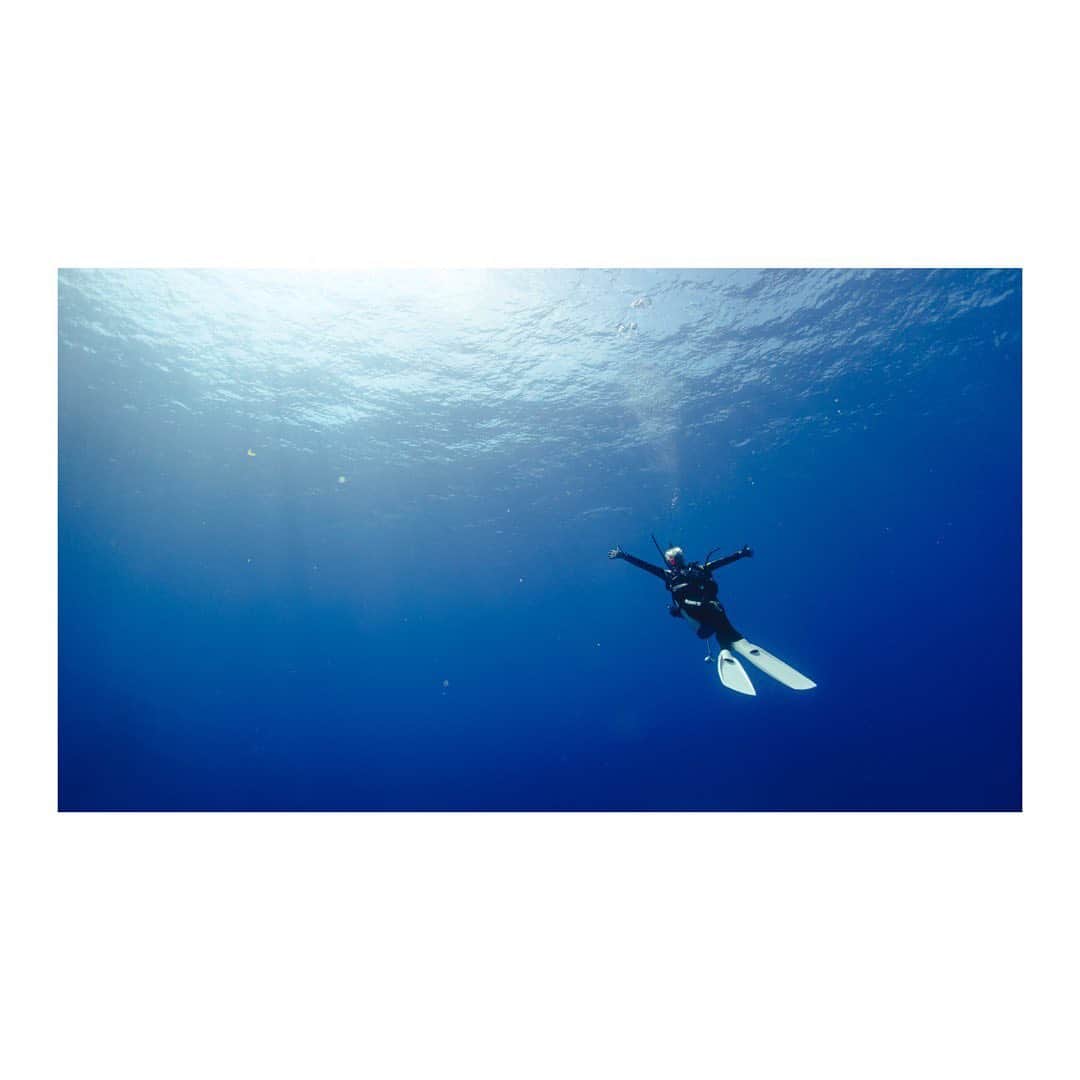 木村文乃さんのインスタグラム写真 - (木村文乃Instagram)「*** やっぱ私はこっちだよね🐋🐬🪸  #mobbys #gull #bism #ダイビング #diving #diver」9月9日 14時58分 - uminokimura_official