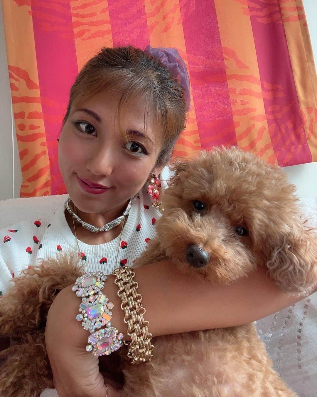 神谷麻美さんのインスタグラム写真 - (神谷麻美Instagram)「#キング ちゃん  #チョコちゃん と #いちご ちゃん💖🐩💖🌈💖✨  🍫🍓🍫🍓🍫🍓🍫🍓」9月9日 18時32分 - asamice428