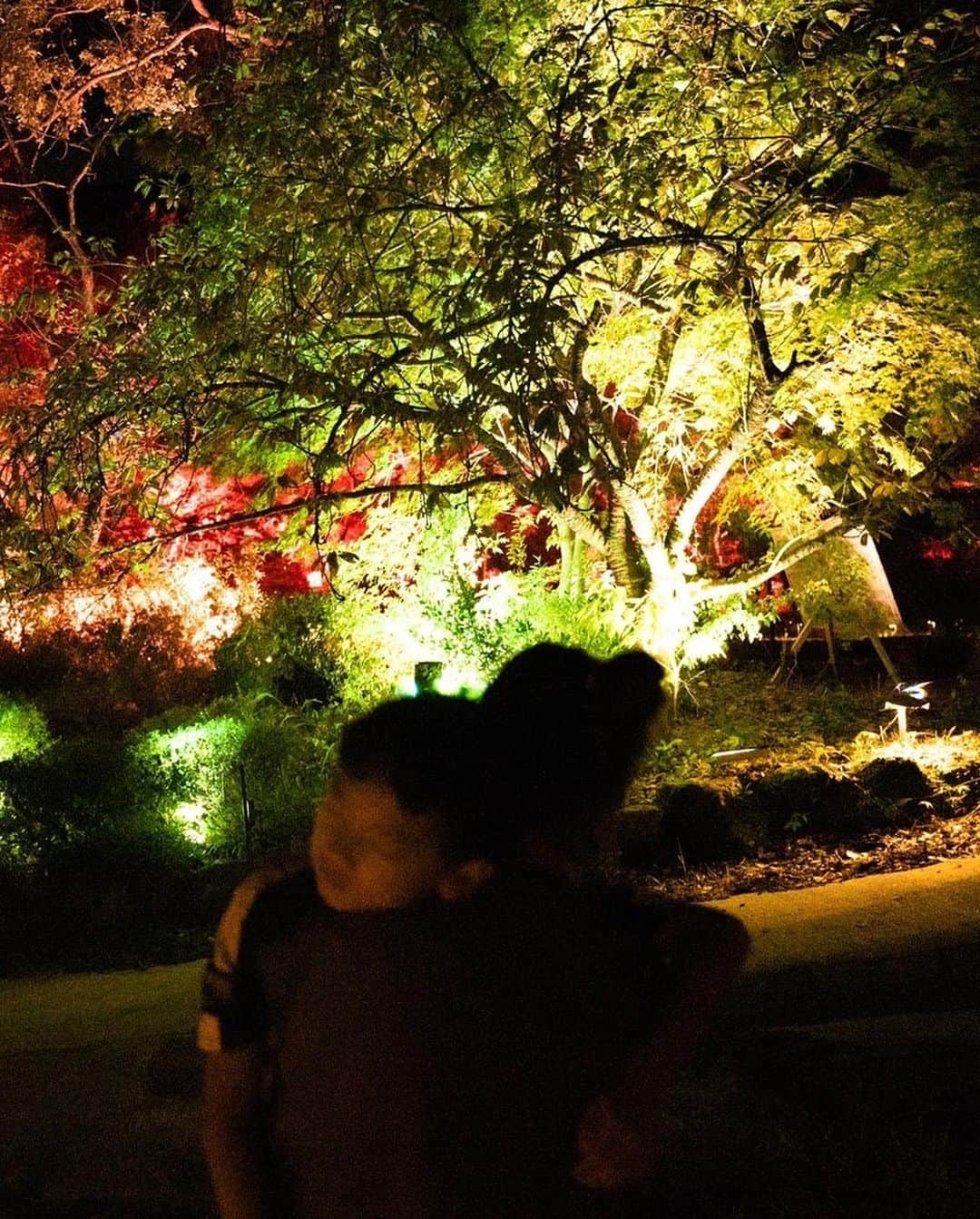 スザンヌさんのインスタグラム写真 - (スザンヌInstagram)「#かみさまがすまう森 @teamlab   美しかったぁ🥺🌳❤️‍🔥💫 感動して歩いてわぁーっっとなって 歩いて、最後は息子充電切れ。笑  久しぶりの抱っこandまあまあの山道を下山と、最後は腕がしびれました😂笑  それも思い出♡  @tkmivj お誘いありがとう🙏  明日発売の @hacohaco8585 #ラブアンドピースプロジェクト2022 のワンピ＋ベストを着て行ったよ❤️✌️ ワンピはしわにならないし、ベストはこれからの時期大活躍間違えなし！最高🥰  #チームラボ #御船山楽園ホテル #かみさまがすまう森」9月10日 14時11分 - suzanneeee1028