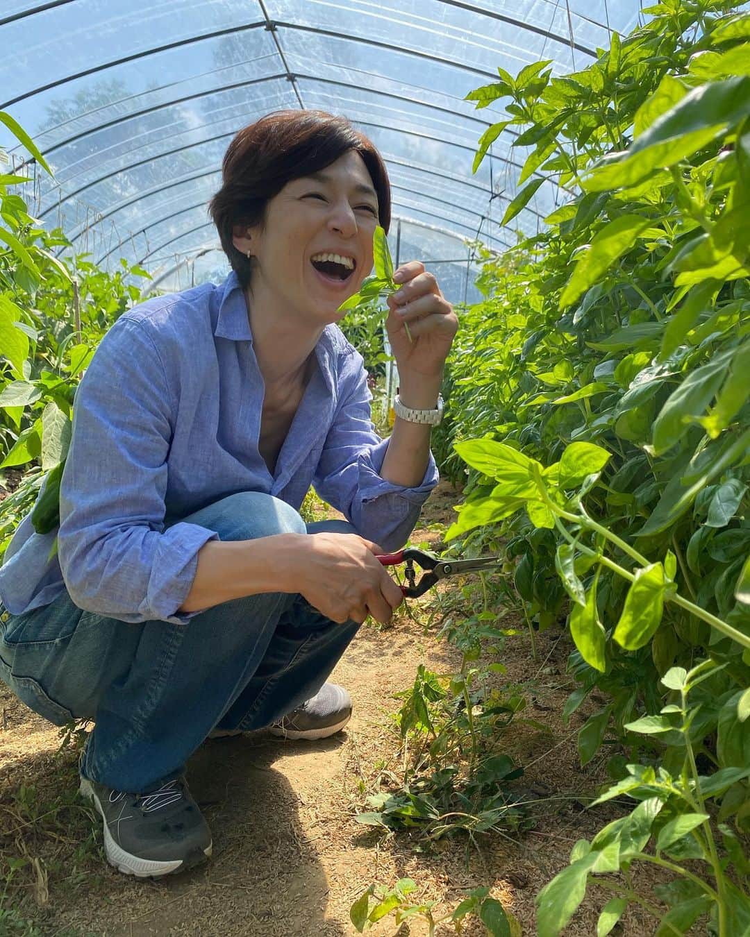 鈴木保奈美さんのインスタグラム写真 - (鈴木保奈美Instagram)「真剣に熱心に、そして楽しそうに農業に取り組む若者たちの農園で、夕餉の野菜を調達。これぞ生産者直売。贅沢だわあ。 どうか彼らの日々の努力が報われますように。わたしは食べて応援しよう。  @niwafarm」9月10日 17時12分 - honamisuzukiofficial