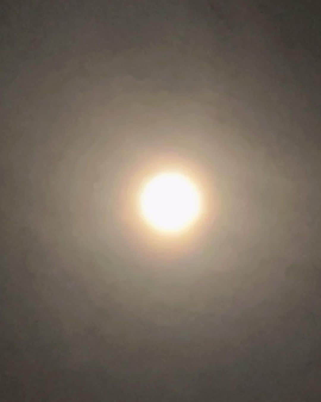 及川奈央さんのインスタグラム写真 - (及川奈央Instagram)「昨夜の #十五夜 #満月 🌾🍡🌕🐰 上手く撮れなかったけど もう少し早い時間に見たときはオレンジ色が強くてもっと近くて大きかったです🟠 綺麗だったー！」9月11日 10時22分 - naooikawa