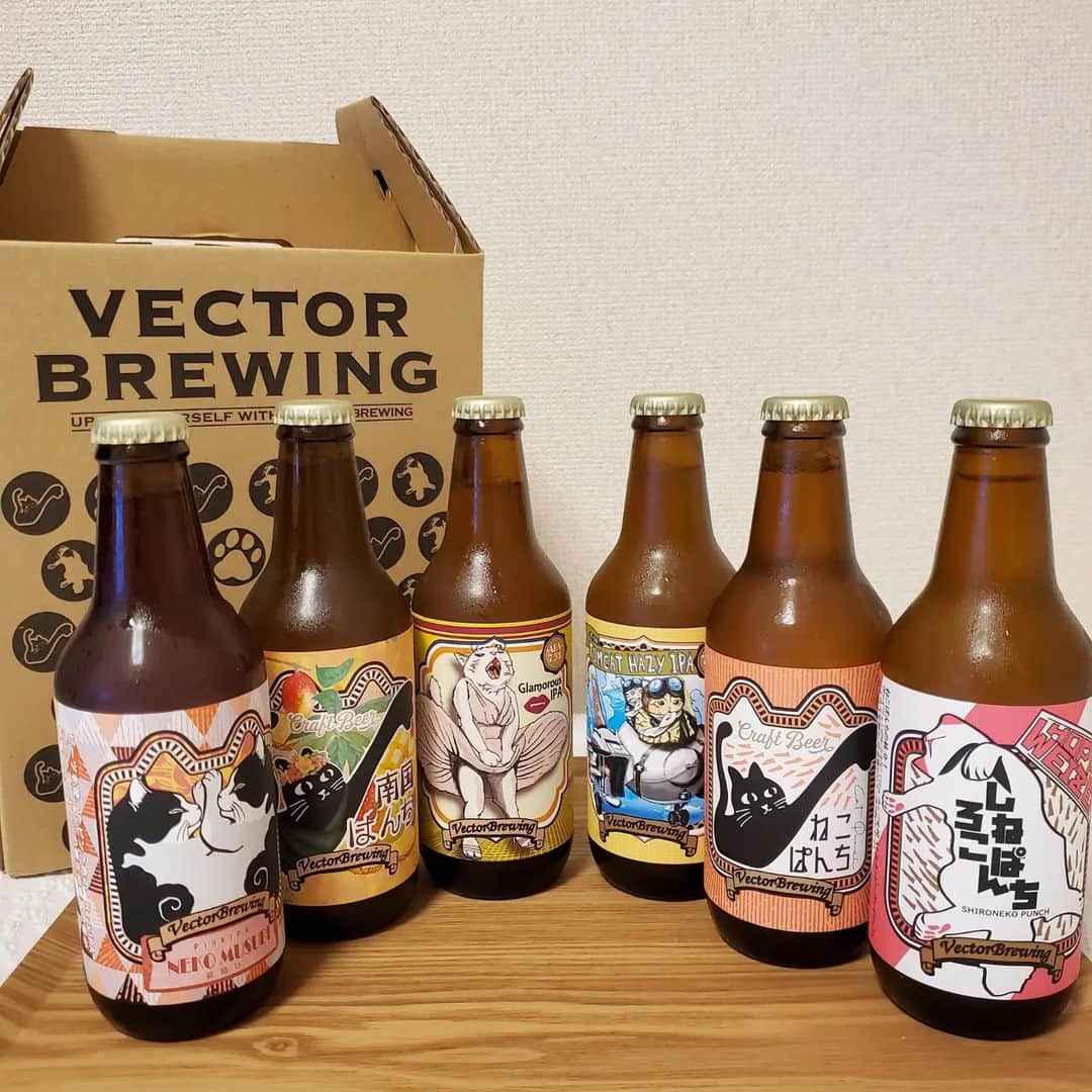 池田夏希さんのインスタグラム写真 - (池田夏希Instagram)「@vectorbrewing_tokyo のクラフトビールをお取り寄せ🍺💕 . 東京の下町の浅草橋にあるビール醸造所から直送のクラフトビール6本セットを頼んだんだけど、定番ビールと季節限定ビールが入ってて色んな味が楽しめるから料理に合わせて選ぶのが楽しくなります🎵 早速HAZY IPAを飲んでみたけど、香りも良くて飲みやすい😊 ほぼ毎日ビールは飲むからおうち時間の楽しさ倍増です♡ . #クラフトビール  #ビール #ベクターブルーイング #ねこぱんち  #ギフトにおすすめ #クラフトビール好き #クラフトビール飲み比べ #ビール女子 #ビール飲み比べ #お取り寄せ #ビール好き #vectorbrewing  #beer #beergift #onlineorder #beerlover #beerstagram」9月11日 15時59分 - natsukiikeda624
