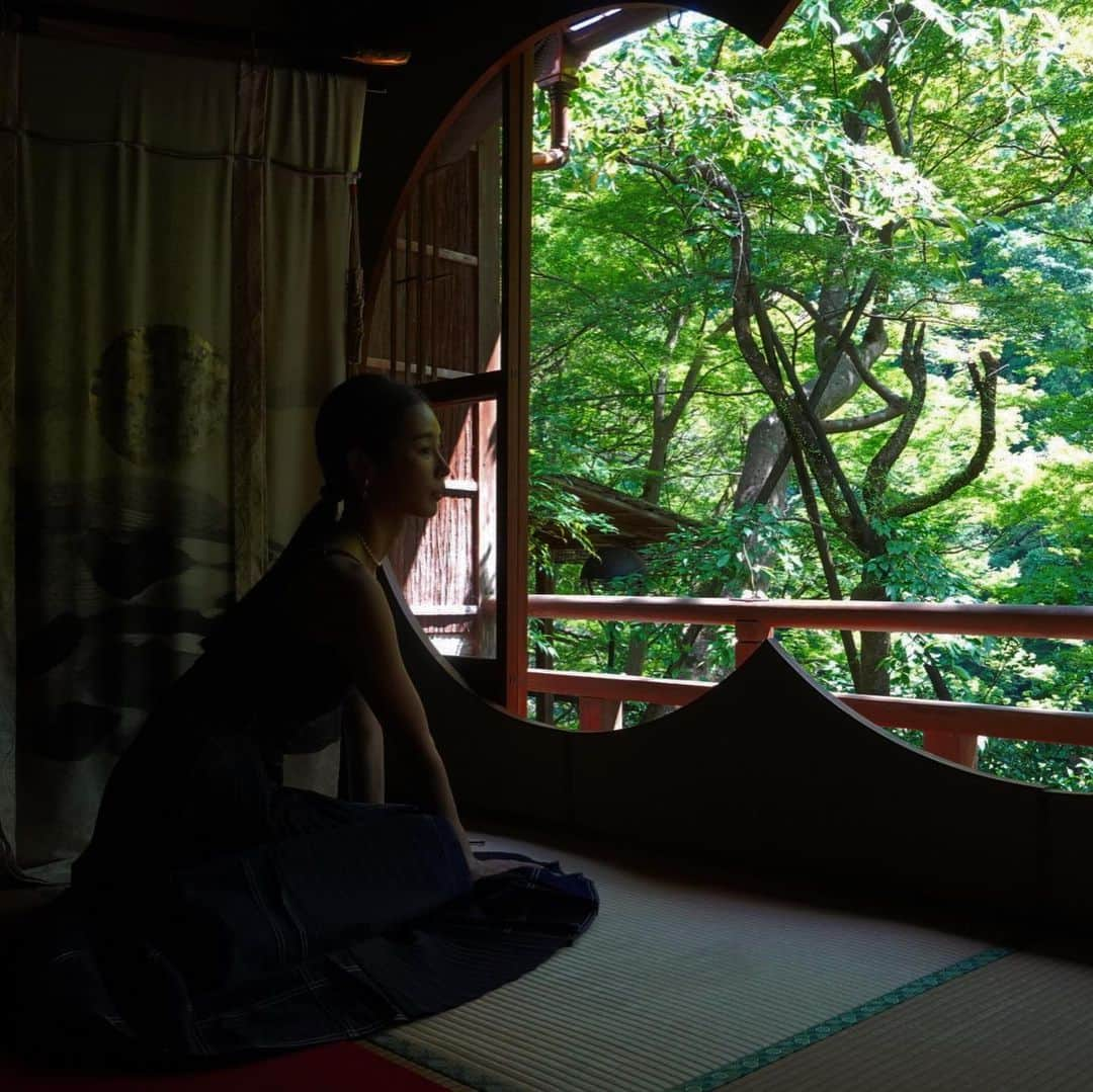 加治ひとみさんのインスタグラム写真 - (加治ひとみInstagram)「風情🌳🌳📚✨」9月11日 23時49分 - kaji_26