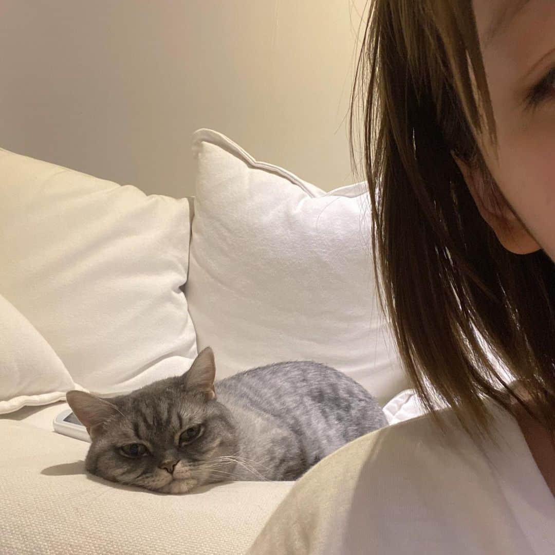 カン・テリさんのインスタグラム写真 - (カン・テリInstagram)「모듀 풍성한 한가위✂️끗」9月12日 14時08分 - taeri__taeri