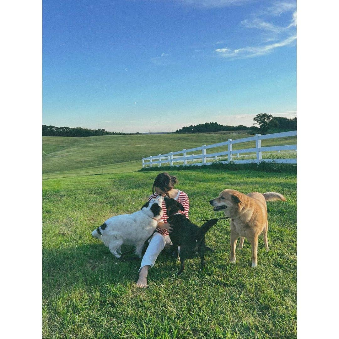 紗栄子さんのインスタグラム写真 - (紗栄子Instagram)「みんなおはよう☺️🌿💖 今日も @nasufarmvillage はいいお天気🌞🌿✨  営業前と営業後は、ラブちゃんとあんずとあずきとララとスタッフみんなでchillタイム🐶👫💖💙🌿🫐」9月13日 8時24分 - saekoofficial