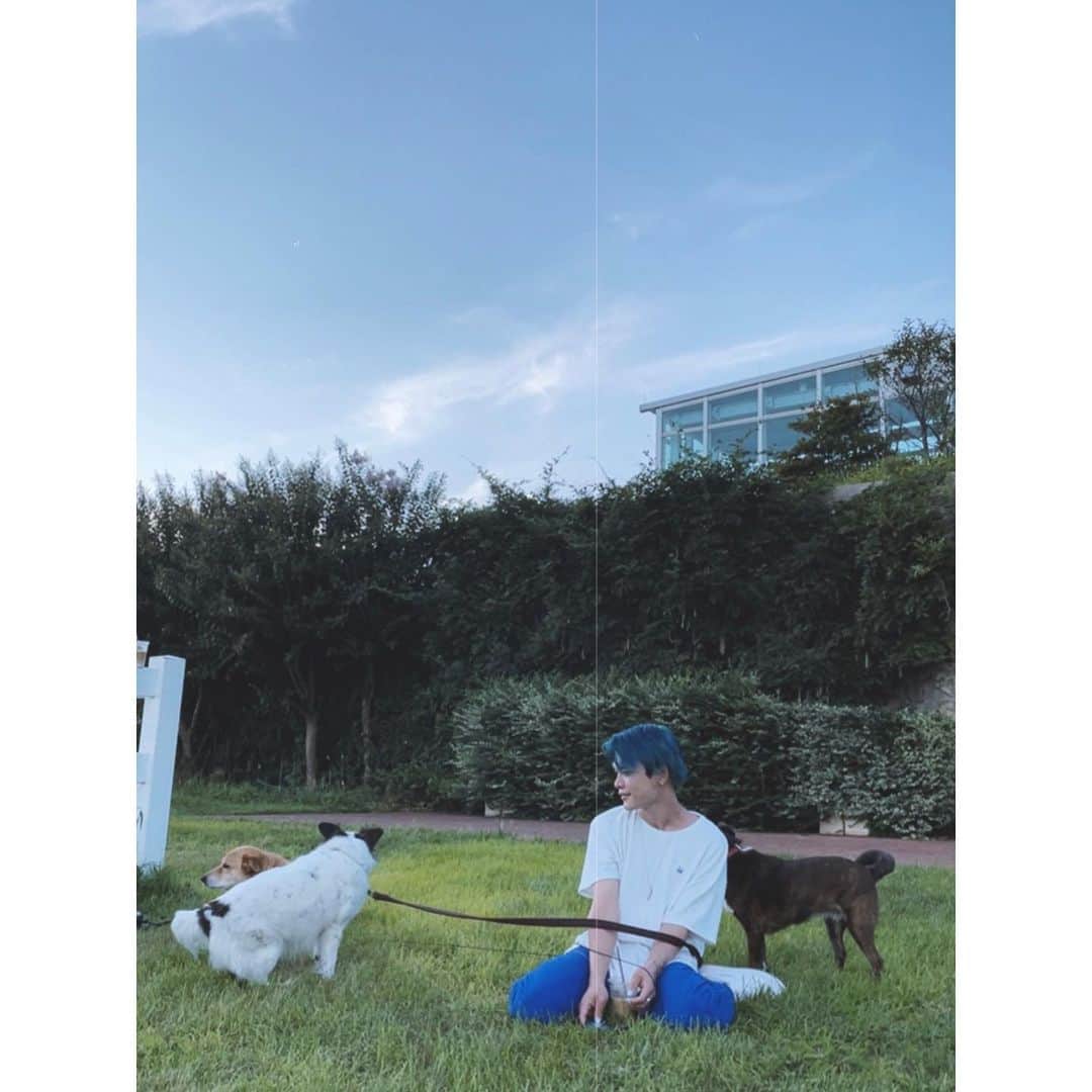 紗栄子さんのインスタグラム写真 - (紗栄子Instagram)「みんなおはよう☺️🌿💖 今日も @nasufarmvillage はいいお天気🌞🌿✨  営業前と営業後は、ラブちゃんとあんずとあずきとララとスタッフみんなでchillタイム🐶👫💖💙🌿🫐」9月13日 8時24分 - saekoofficial