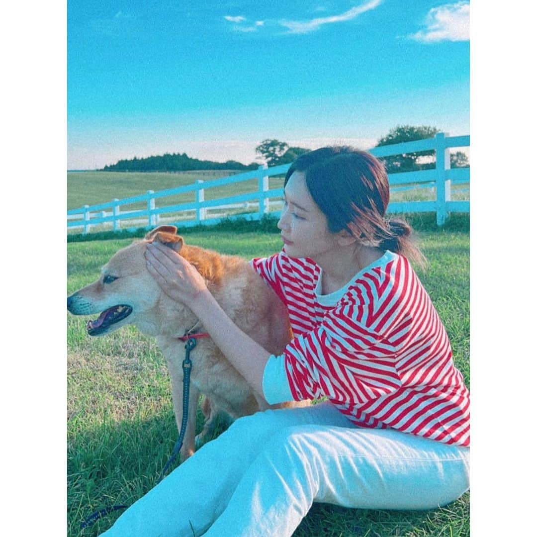 紗栄子さんのインスタグラム写真 - (紗栄子Instagram)「みんなおはよう☺️🌿💖 今日も @nasufarmvillage はいいお天気🌞🌿✨  営業前と営業後は、ラブちゃんとあんずとあずきとララとスタッフみんなでchillタイム🐶👫💖💙🌿🫐」9月13日 8時24分 - saekoofficial