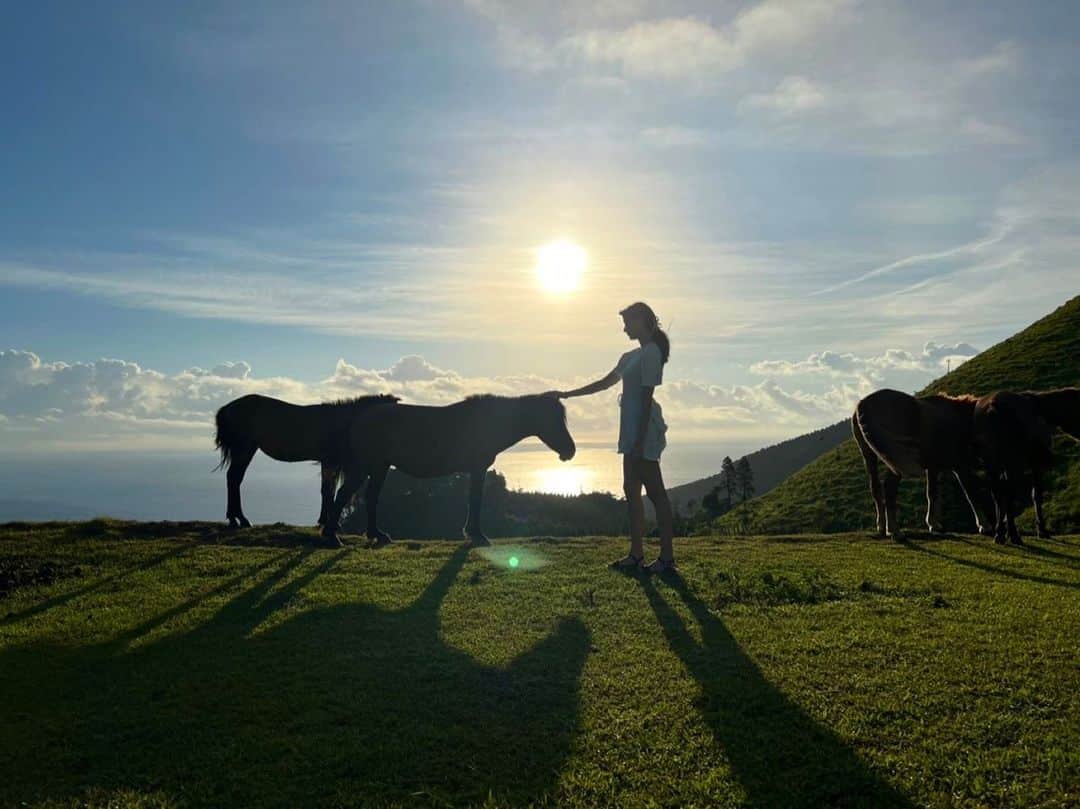 あゆみさんのインスタグラム写真 - (あゆみInstagram)「🐴🔅 . 📍宮崎県最南端、都井岬  眩しい朝日、青い空、広い海、大草原、野生の馬、日本じゃないみたいな大自然を感じれた場所  国の天然記念物に指定されている御崎馬って言う馬なんだって！触っちゃいけないから遠近法で触ってる風の写真📸  #宮崎 #日南 #旅行 #都井岬 #馬 #天然記念物 #御崎馬 #travel #Japan #hourses #2022 #summer」9月13日 9時34分 - ayumiiii26