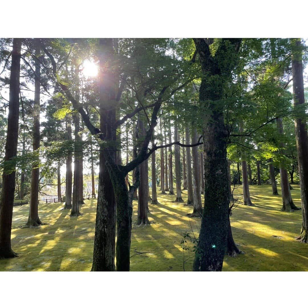 土屋太鳳さんのインスタグラム写真 - (土屋太鳳Instagram)「おはようございます☀ 東京はなかなか残暑が厳しいですが お元気ですか？ . 一昨日から昨日にかけて 大切な提出物があったので どたばたしていましたが、 なんとか終わって良かった…💦 いろいろな準備もありますが すごく貴重な時間を過ごすことが出来ていて 一瞬一瞬が宝物のようです😌✨ あらためてお伝えしますね☺️ . 今日も宮崎での写真を💡 私の家は鵜戸という場所に縁があるのですが、 飫肥という場所にも縁があって、 今回は、その飫肥に泊まりました🥰💕✨ 鵜戸とはまた違う魅力を持つ場所🌲✨✨ 家族LINEに景色の写真を送ると 必ず母が「もののけ姫」の主題歌の 歌詞の一部を返事として書いてくるので ちょっと笑ってしまいましたが、 でも そんな空気は確かにあるかも🤔 美味しいものも多いので またゆっくり紹介したいです☺️✨✨ . 今日も良い一日を🌈🕊🍀」9月14日 6時31分 - taotsuchiya_official