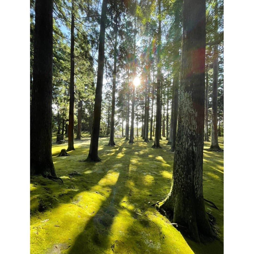 土屋太鳳さんのインスタグラム写真 - (土屋太鳳Instagram)「おはようございます☀ 東京はなかなか残暑が厳しいですが お元気ですか？ . 一昨日から昨日にかけて 大切な提出物があったので どたばたしていましたが、 なんとか終わって良かった…💦 いろいろな準備もありますが すごく貴重な時間を過ごすことが出来ていて 一瞬一瞬が宝物のようです😌✨ あらためてお伝えしますね☺️ . 今日も宮崎での写真を💡 私の家は鵜戸という場所に縁があるのですが、 飫肥という場所にも縁があって、 今回は、その飫肥に泊まりました🥰💕✨ 鵜戸とはまた違う魅力を持つ場所🌲✨✨ 家族LINEに景色の写真を送ると 必ず母が「もののけ姫」の主題歌の 歌詞の一部を返事として書いてくるので ちょっと笑ってしまいましたが、 でも そんな空気は確かにあるかも🤔 美味しいものも多いので またゆっくり紹介したいです☺️✨✨ . 今日も良い一日を🌈🕊🍀」9月14日 6時31分 - taotsuchiya_official