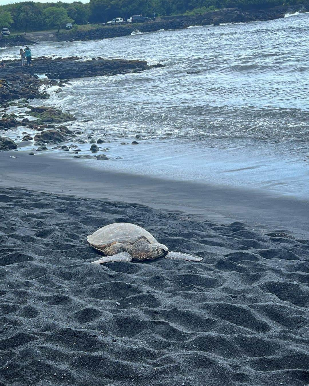 イェリさんのインスタグラム写真 - (イェリInstagram)「black sand beach and the lava dayy   그리운 하와이 ..🥺 yerimiese 유튜브에서 !」9月14日 21時53分 - yerimiese