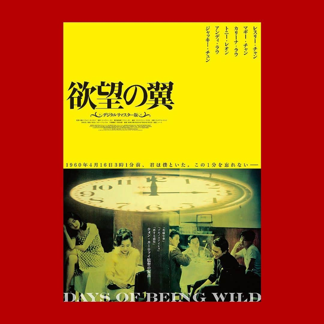 冨手麻妙さんのインスタグラム写真 - (冨手麻妙Instagram)「ここ数日、ひたすらウォンカーウァイの世界に浸ってた…  『1960年4月16日15時1分前、君は俺といた。この一分を忘れない』  こんなセリフを言われたら、誰だって恋に落ちるよね…😭😭😭❤️  I've seen a movie about Wong Kar Wai for the past few days. I have a beautiful dream before I go to bed. I like the women in his movies. They look very strong, but the moment they fall in love, they are very fleeting and weak.That's very cute. His movies are very poetic. I also feel like I was reading a novel by Haruki Murakami. It's so romantic that my heart is pounding.  #wongkarwai #inthemoodforlove #daysofbeingwild #2046 #film #hongkong #hongkongfilm #ウォンカーウァイ #花様年華 #欲望の翼 #王家衛 #tonyleung #トニーレオン #梁朝偉 #lesliecheung」9月15日 0時00分 - amitomite