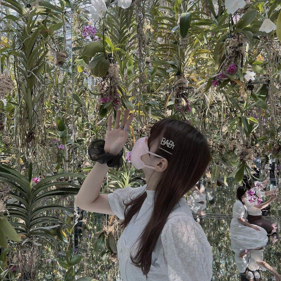 吉澤悠華さんのインスタグラム写真 - (吉澤悠華Instagram)「光合成 🍃」9月15日 16時35分 - harurunfrog_78