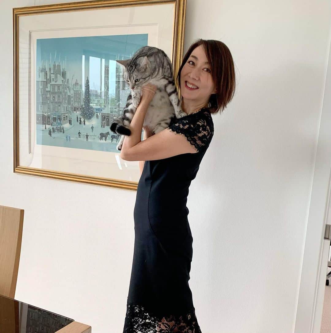 長野智子さんのインスタグラム写真 - (長野智子Instagram)「帰宅してしつこくして嫌がられる図😑  #猫あるある #左手　😹  今日の私服は #ermannoscervino  の黒ワンピです。。」9月15日 16時41分 - naganotomoko